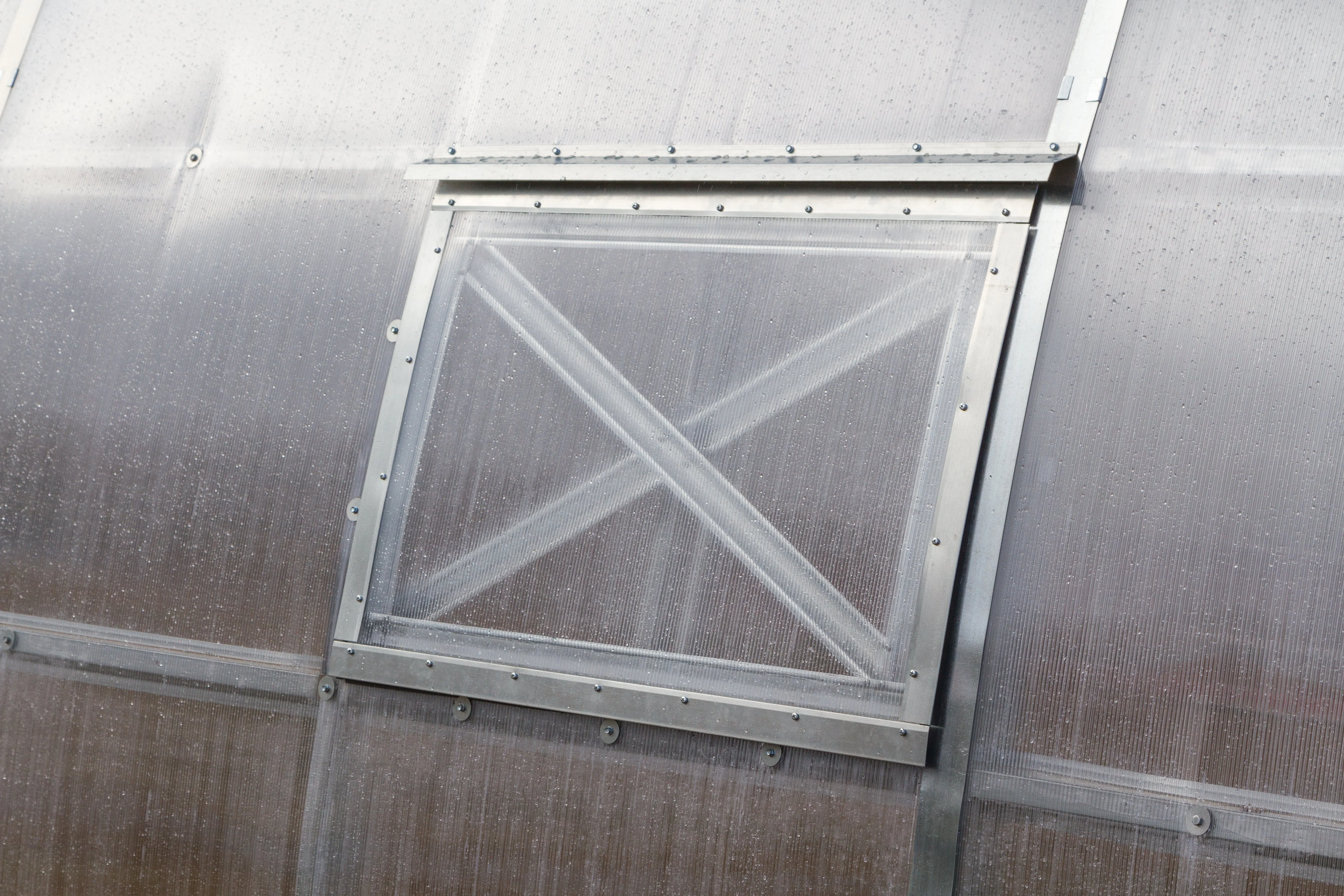 Everest 50 - Image 3