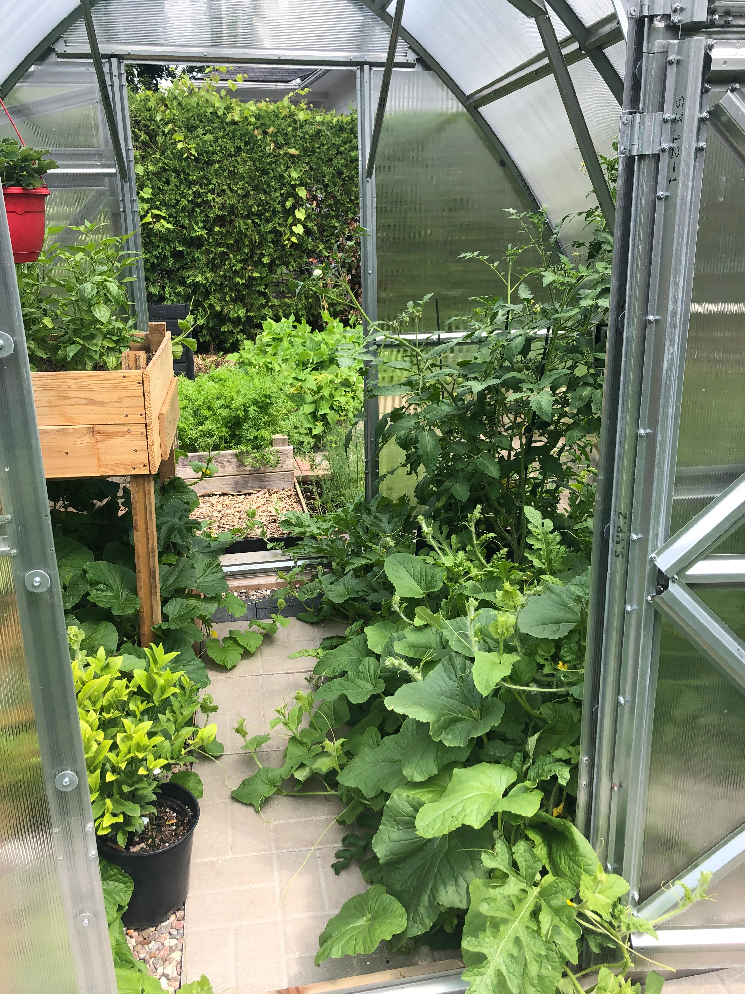 Sungrow Compact - Image 11