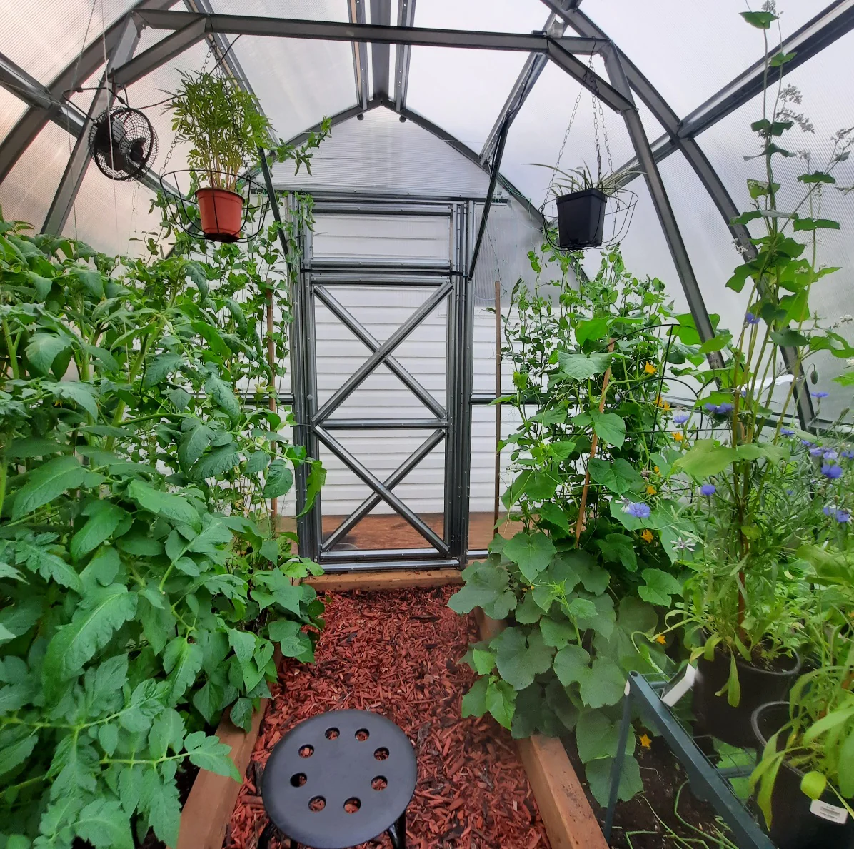 Sungrow Compact - Image 12