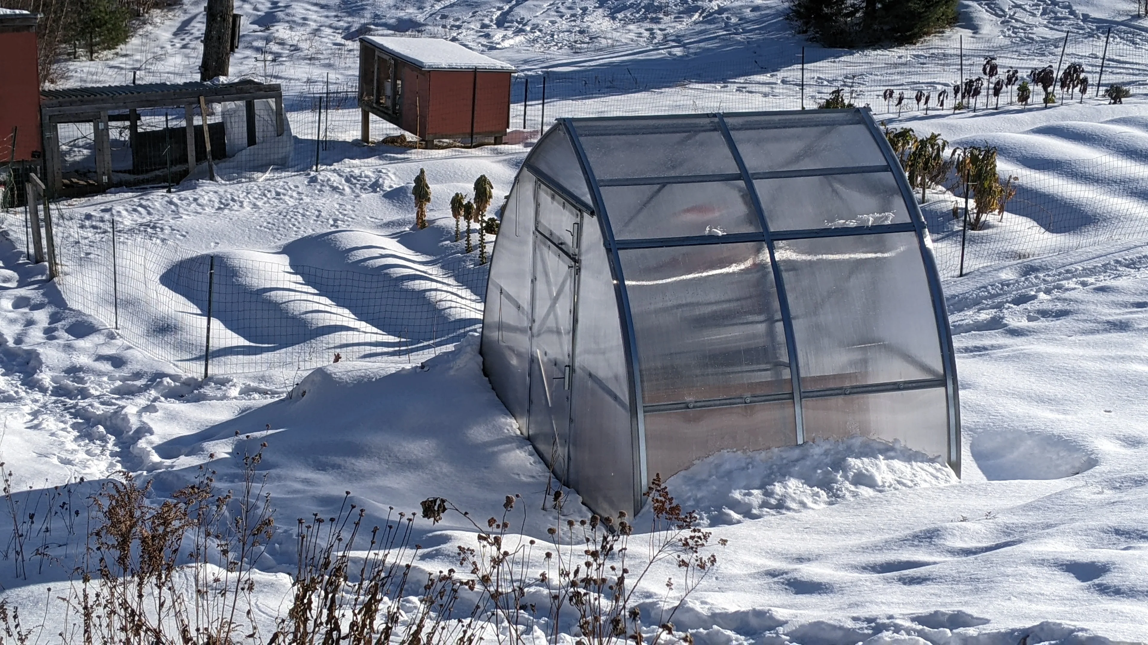 Sungrow Compact - Image 14