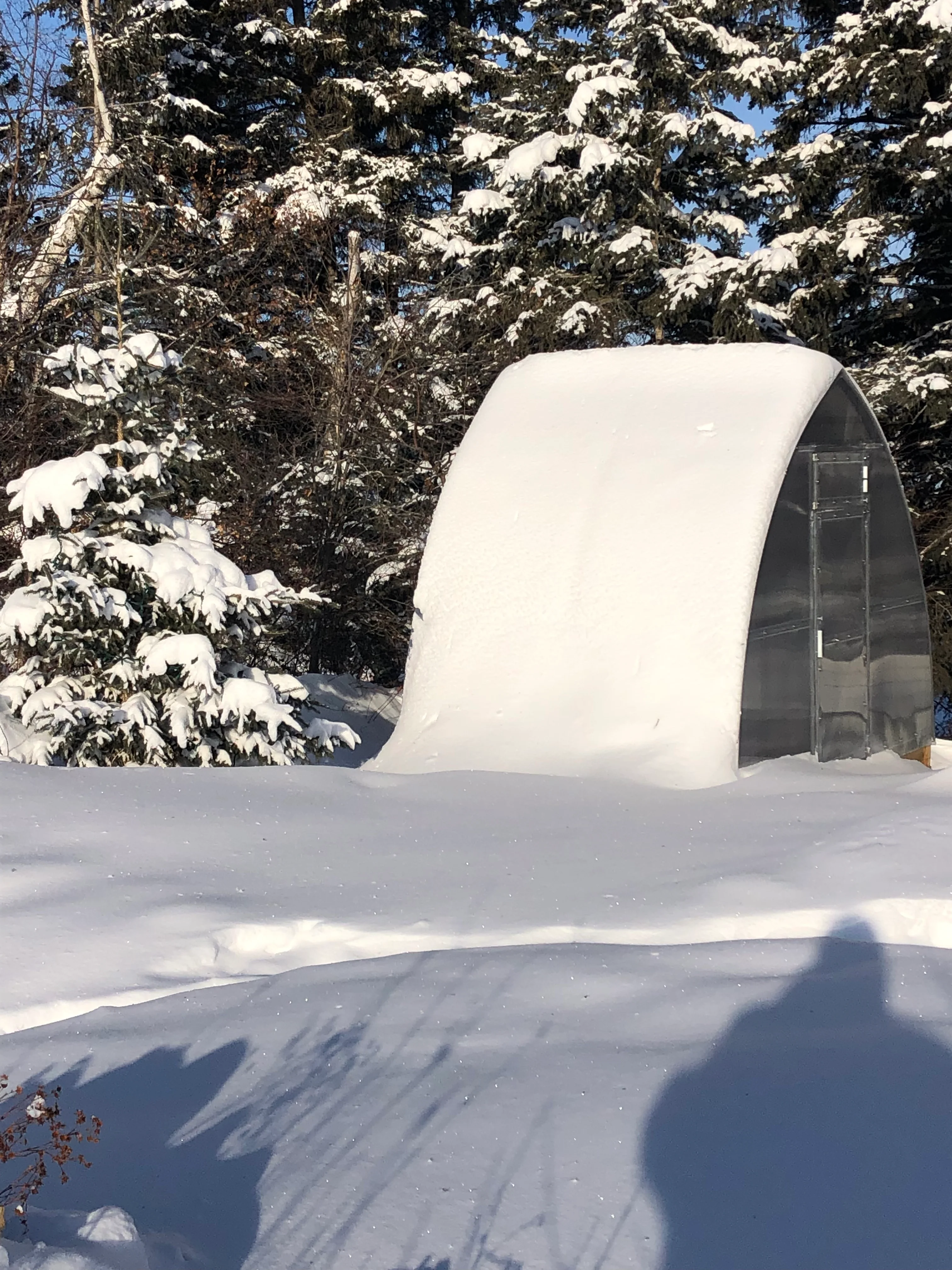 Sungrow Compact - Image 15