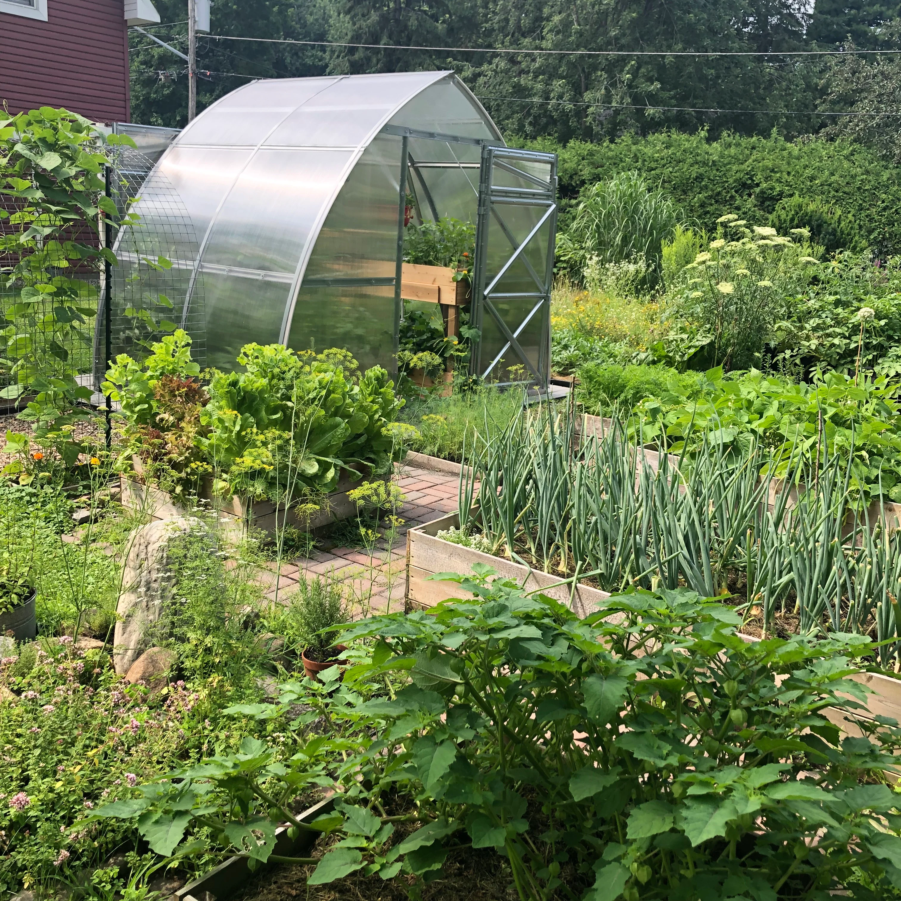 Sungrow Compact - Image 5