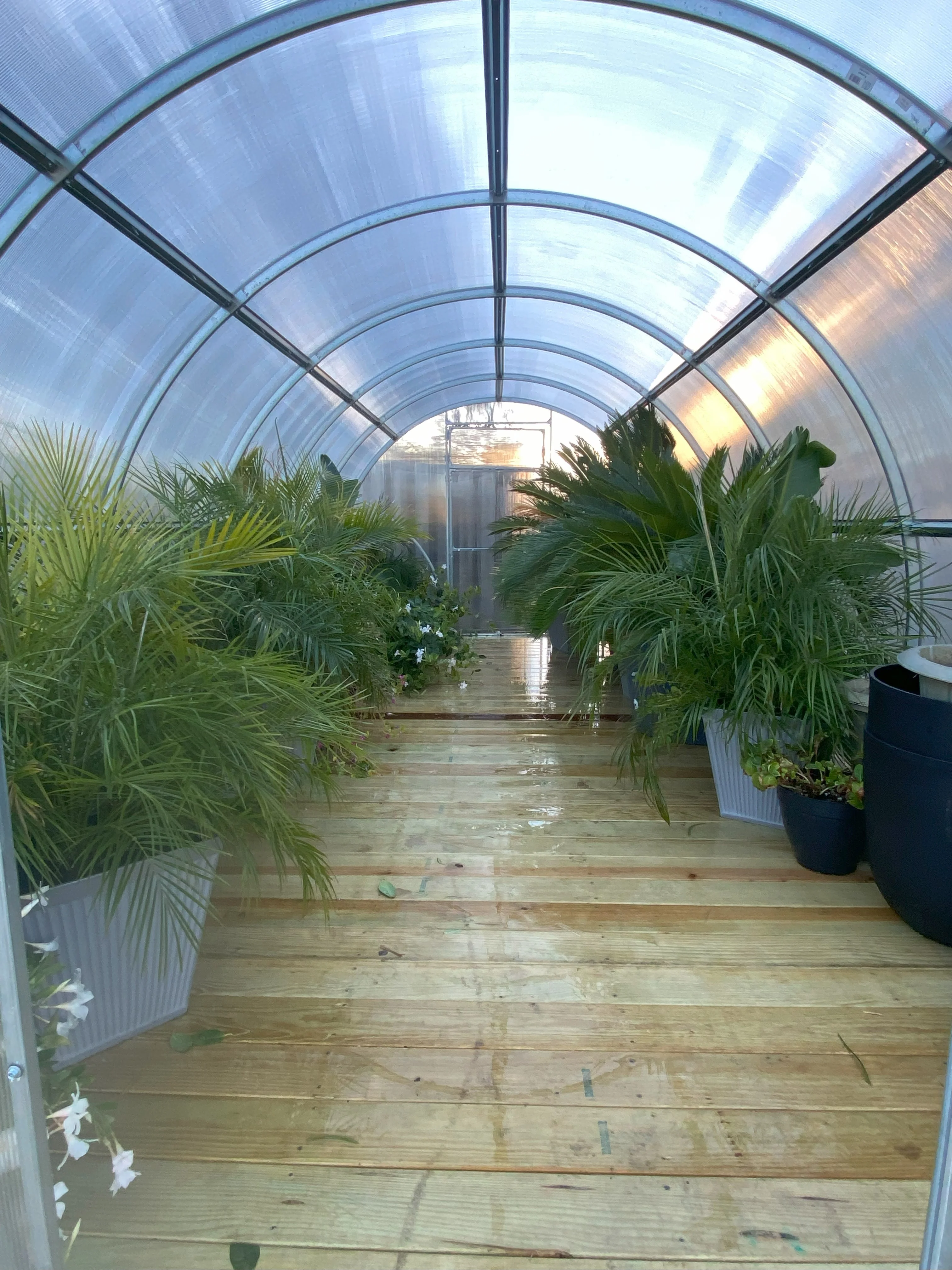 Sigma 20 (Gen II) - Image 10