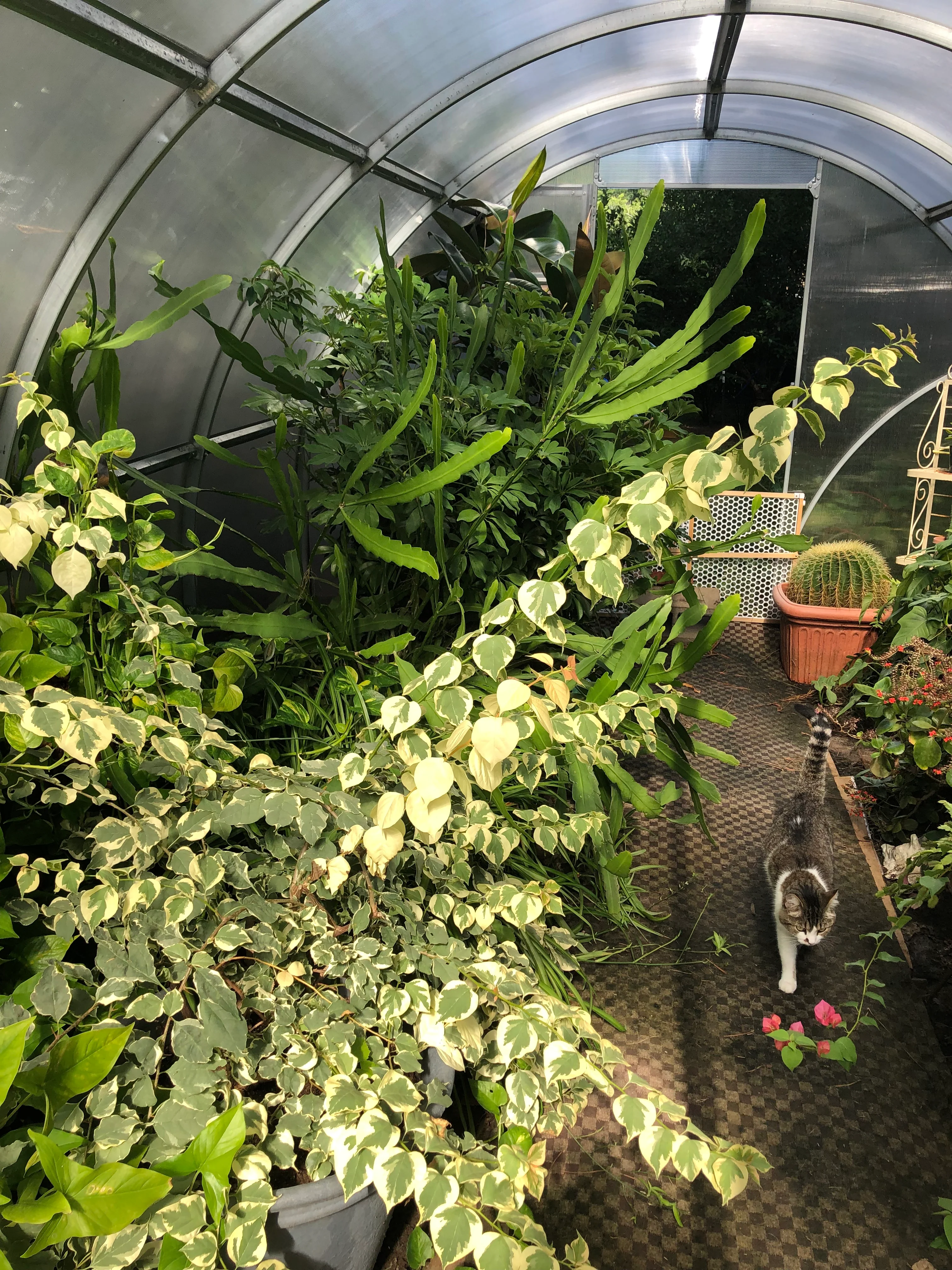 Sigma 20 (Gen II) - Image 12