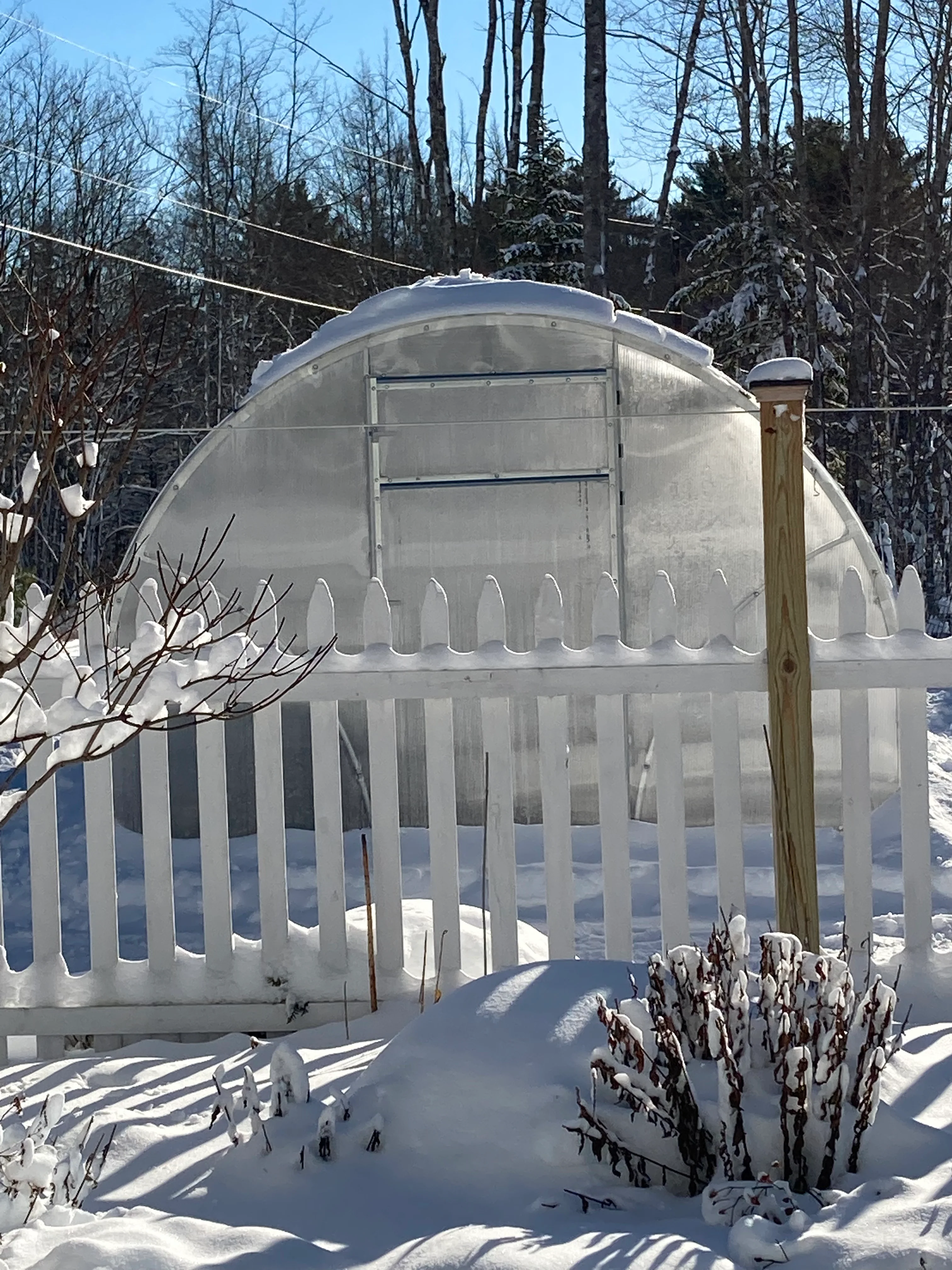 Sigma 20 (Gen II) - Image 13