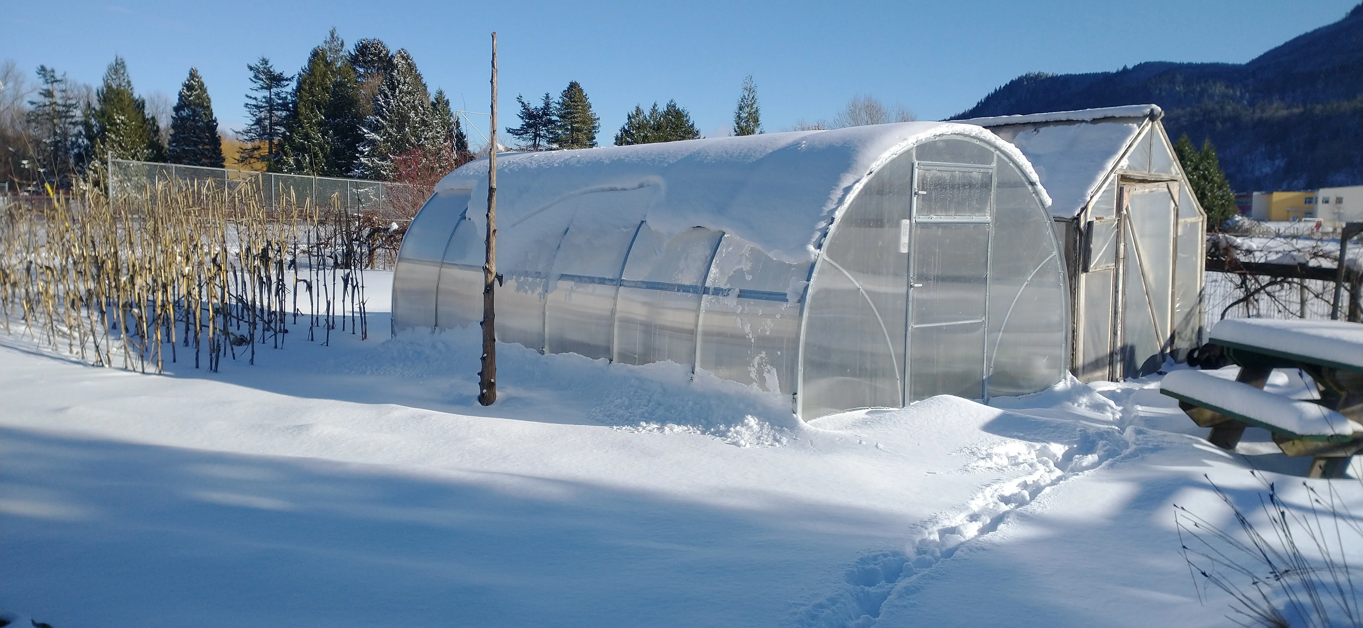 Sigma 20 (Gen II) - Image 14