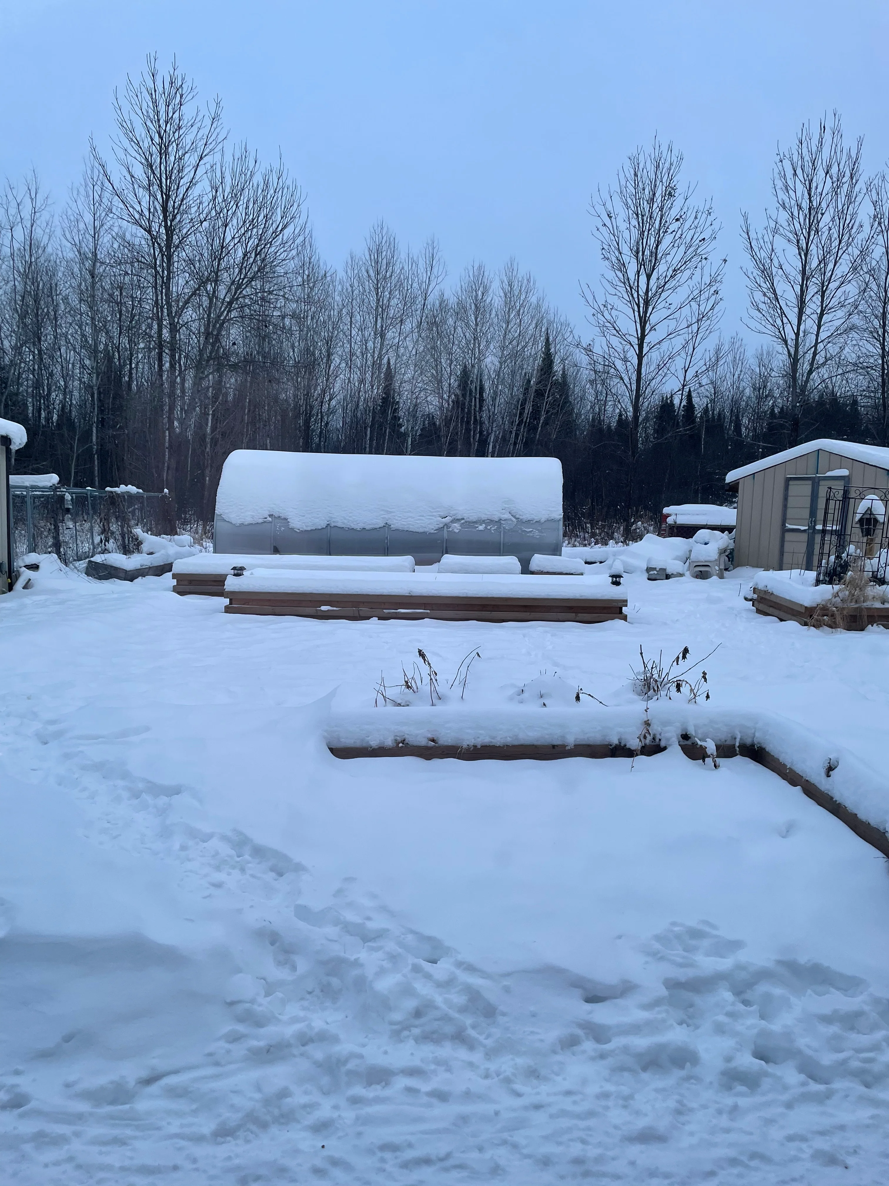 Sigma 20 (Gen II) - Image 15