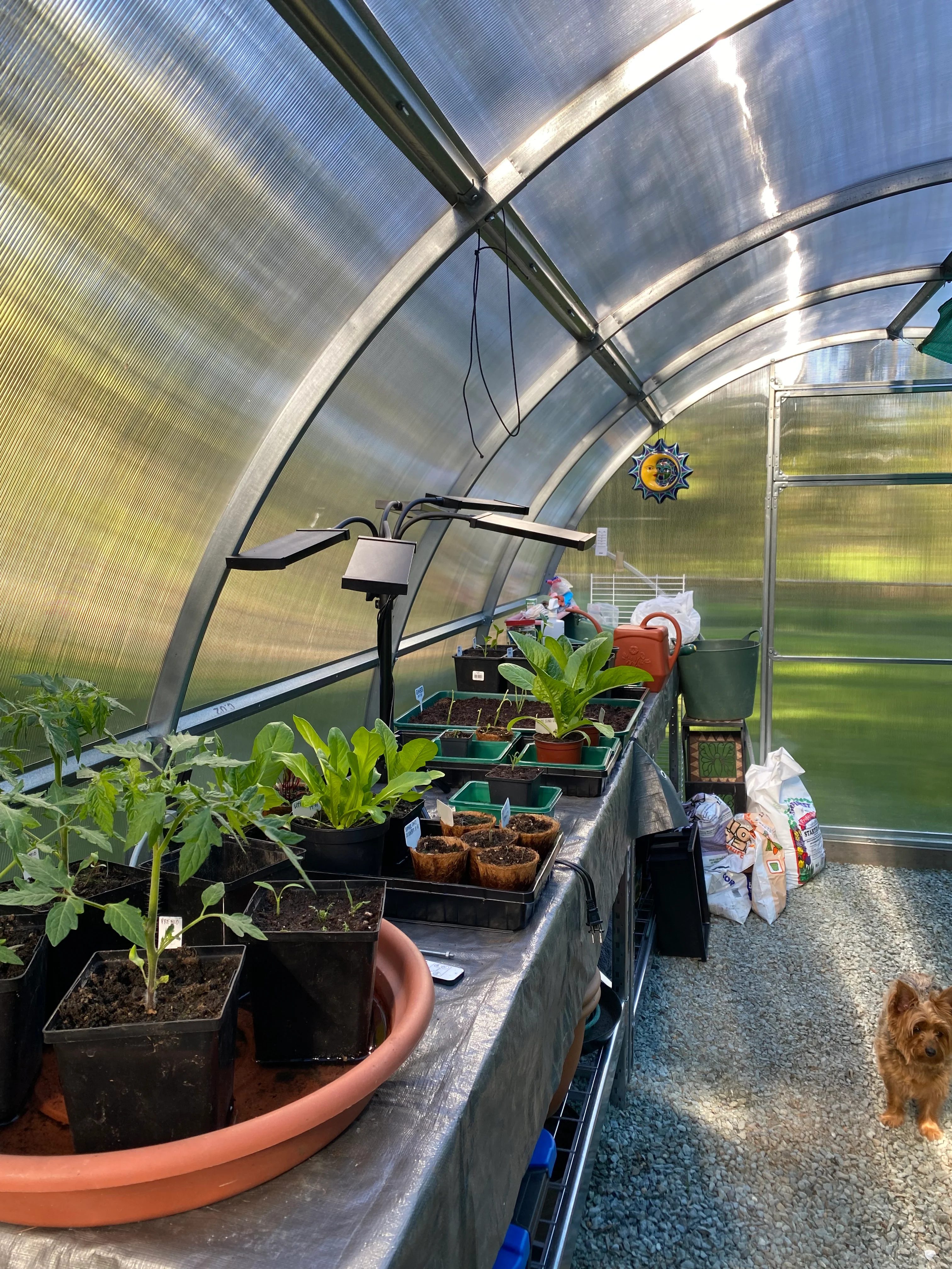 Sigma 20 (Gen II) - Image 7