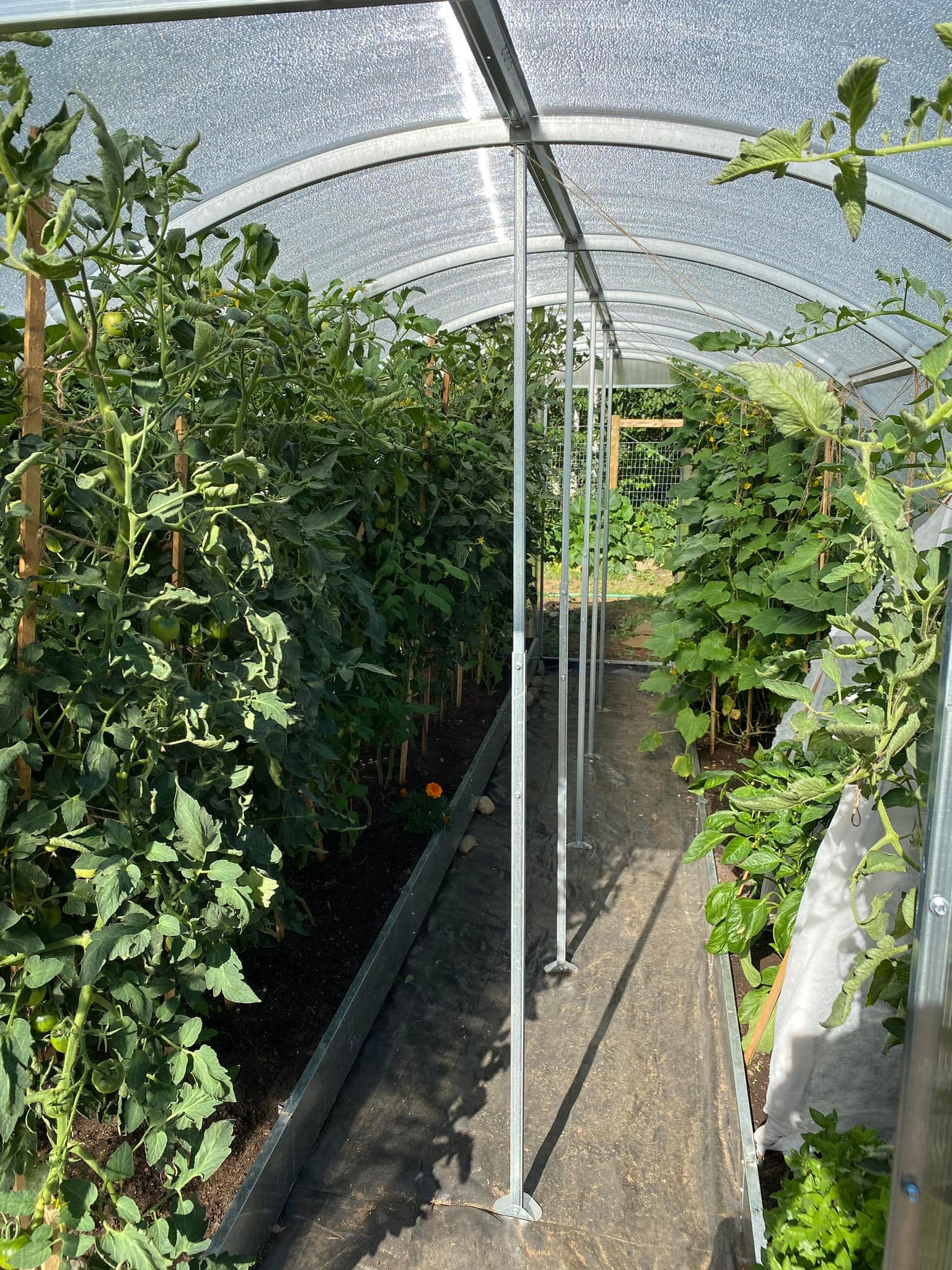 Sigma 20 (Gen II) - Image 8