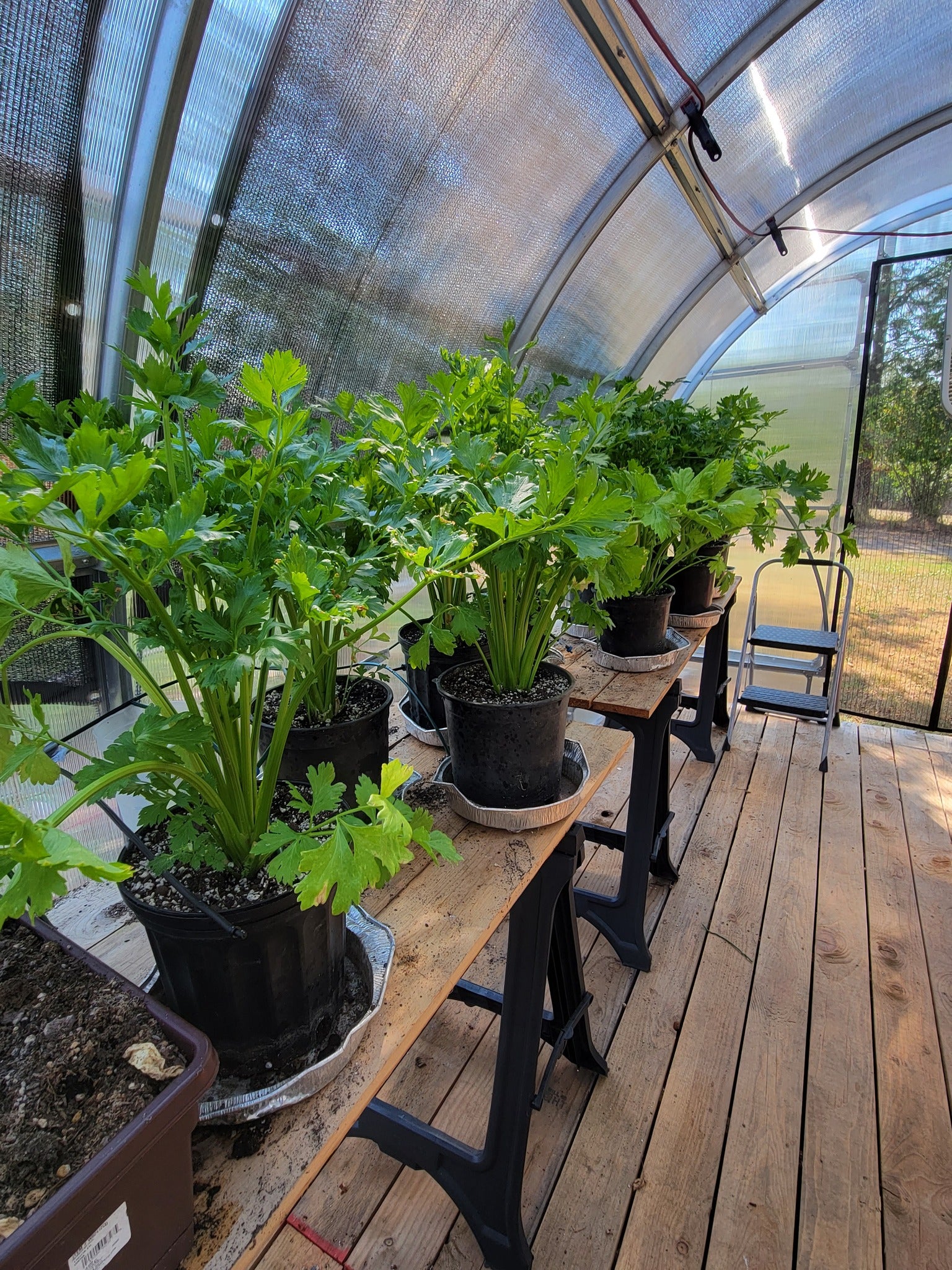 Sigma 20 (Gen II) - Image 9