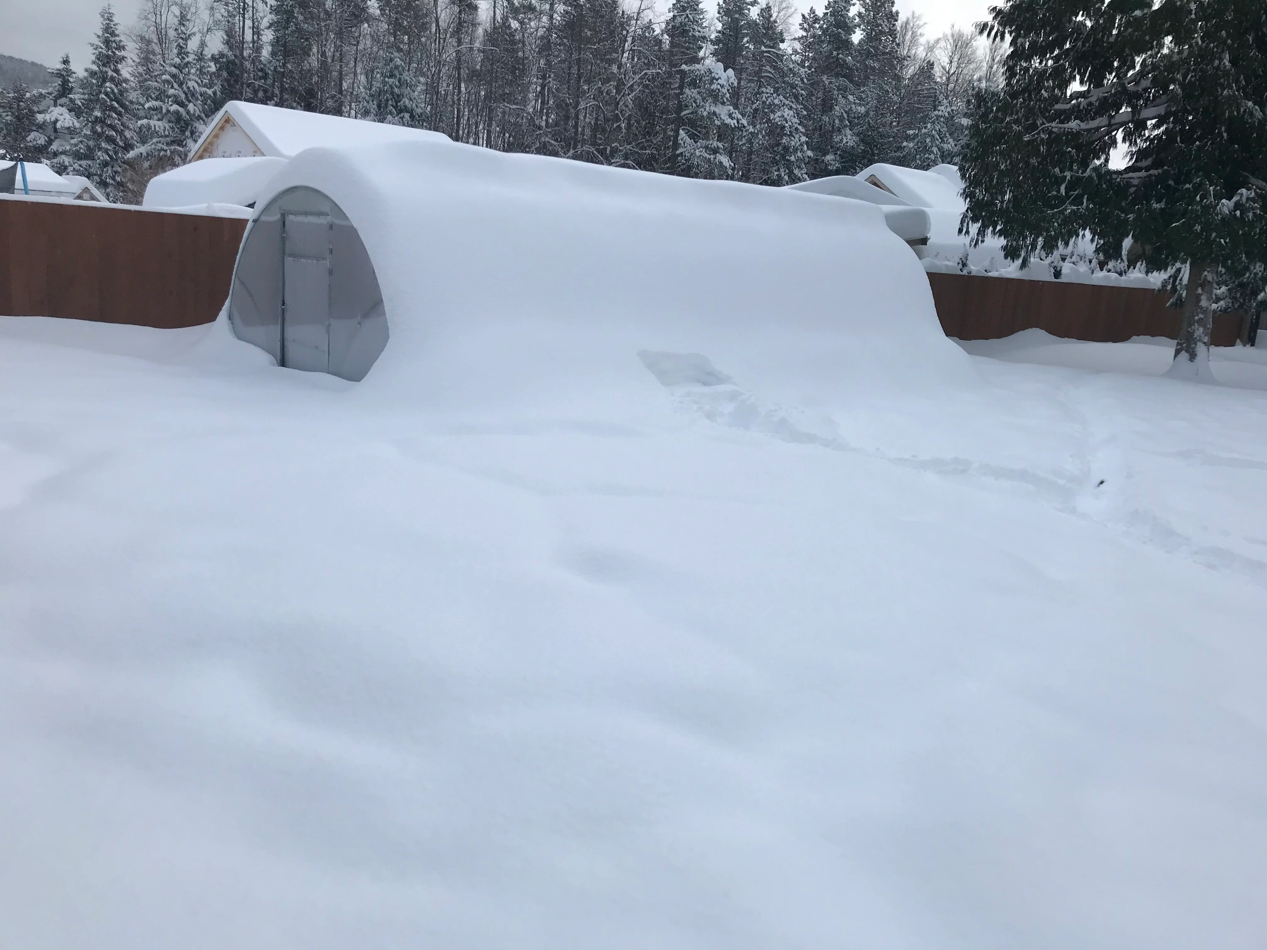 Sigma 26 (Gen II) - Image 12