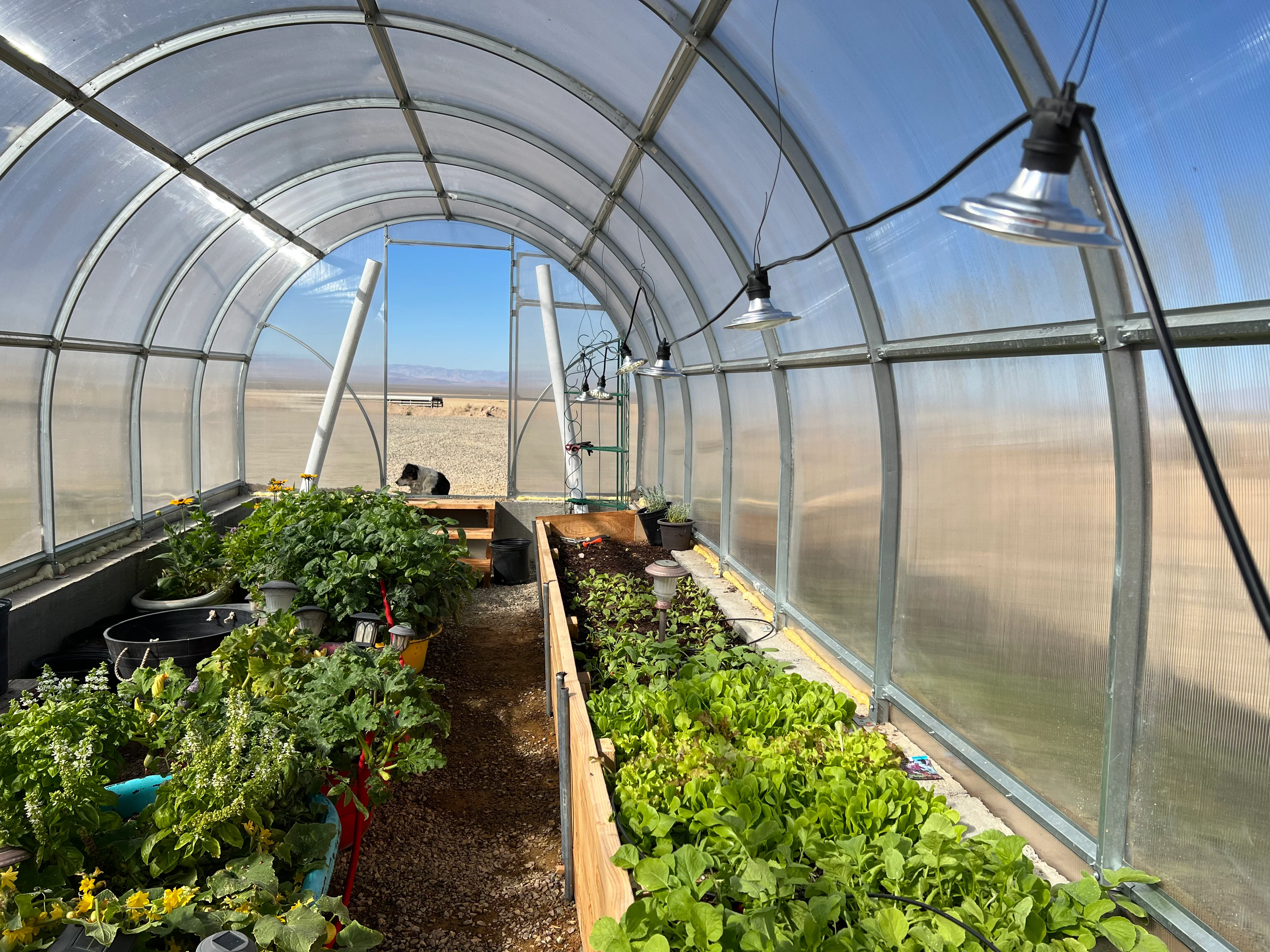 Sigma 26 (Gen II) - Image 5