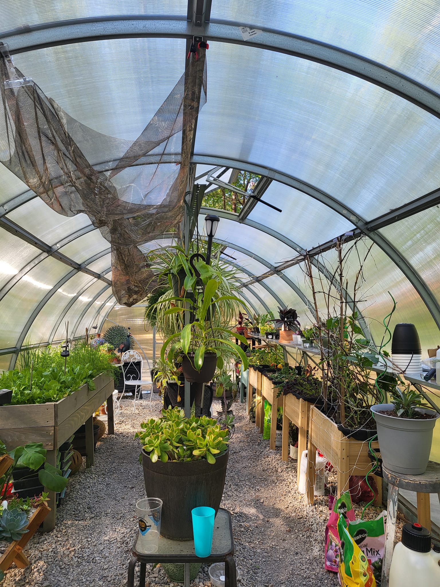 Sigma 26 (Gen II) - Image 6