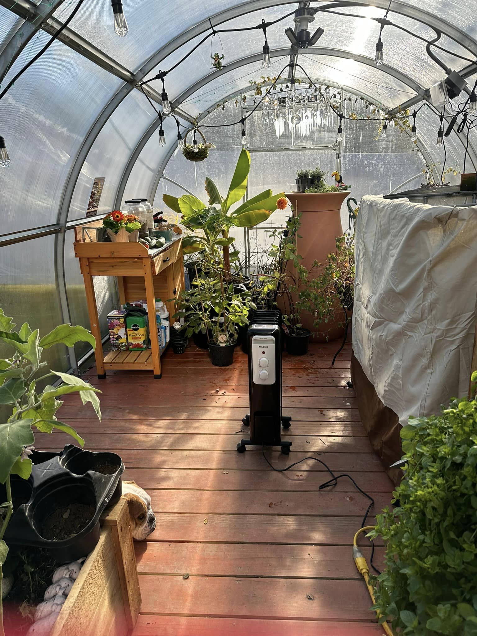 Sigma 26 (Gen II) - Image 7