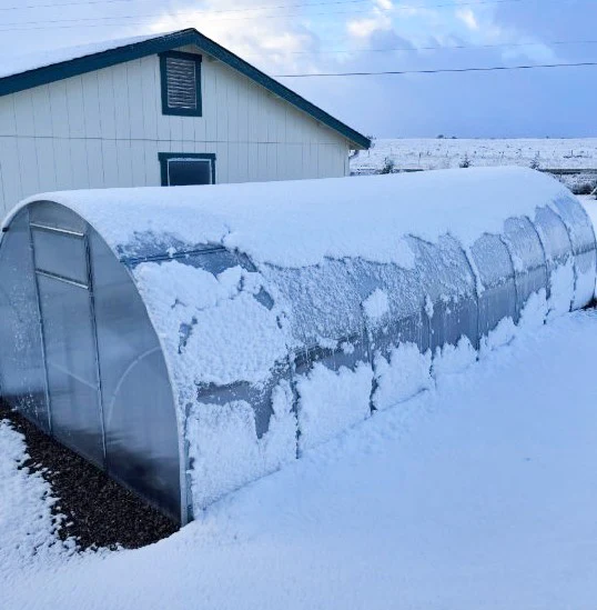 Sigma 26 (Gen II) - Image 9