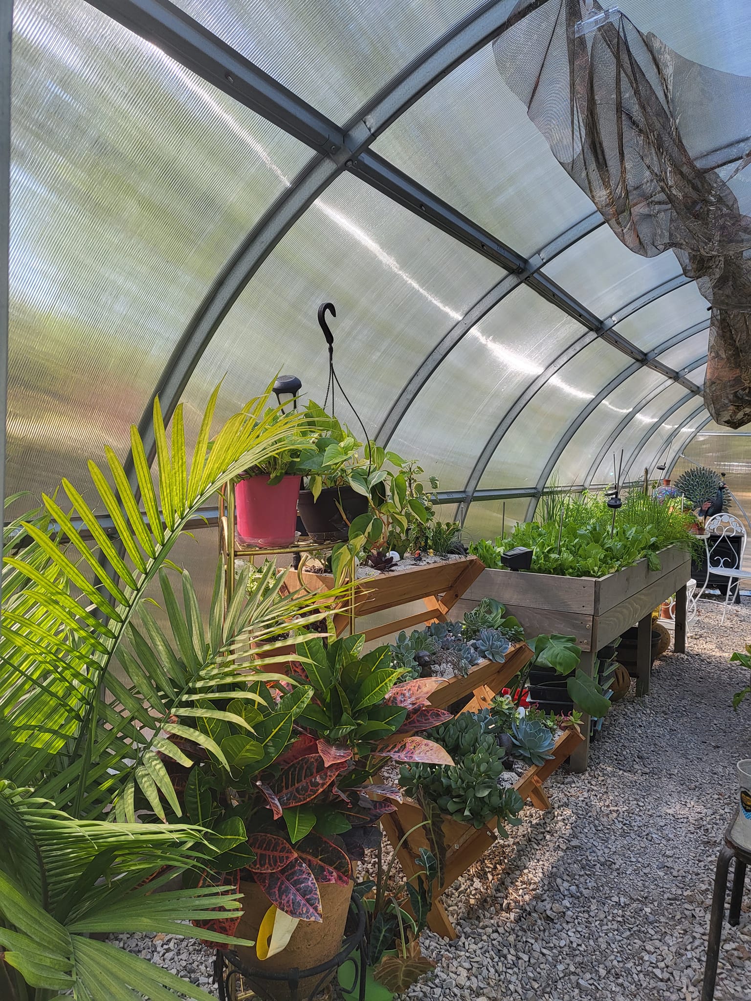 Sigma 32 (Gen II) - Image 10