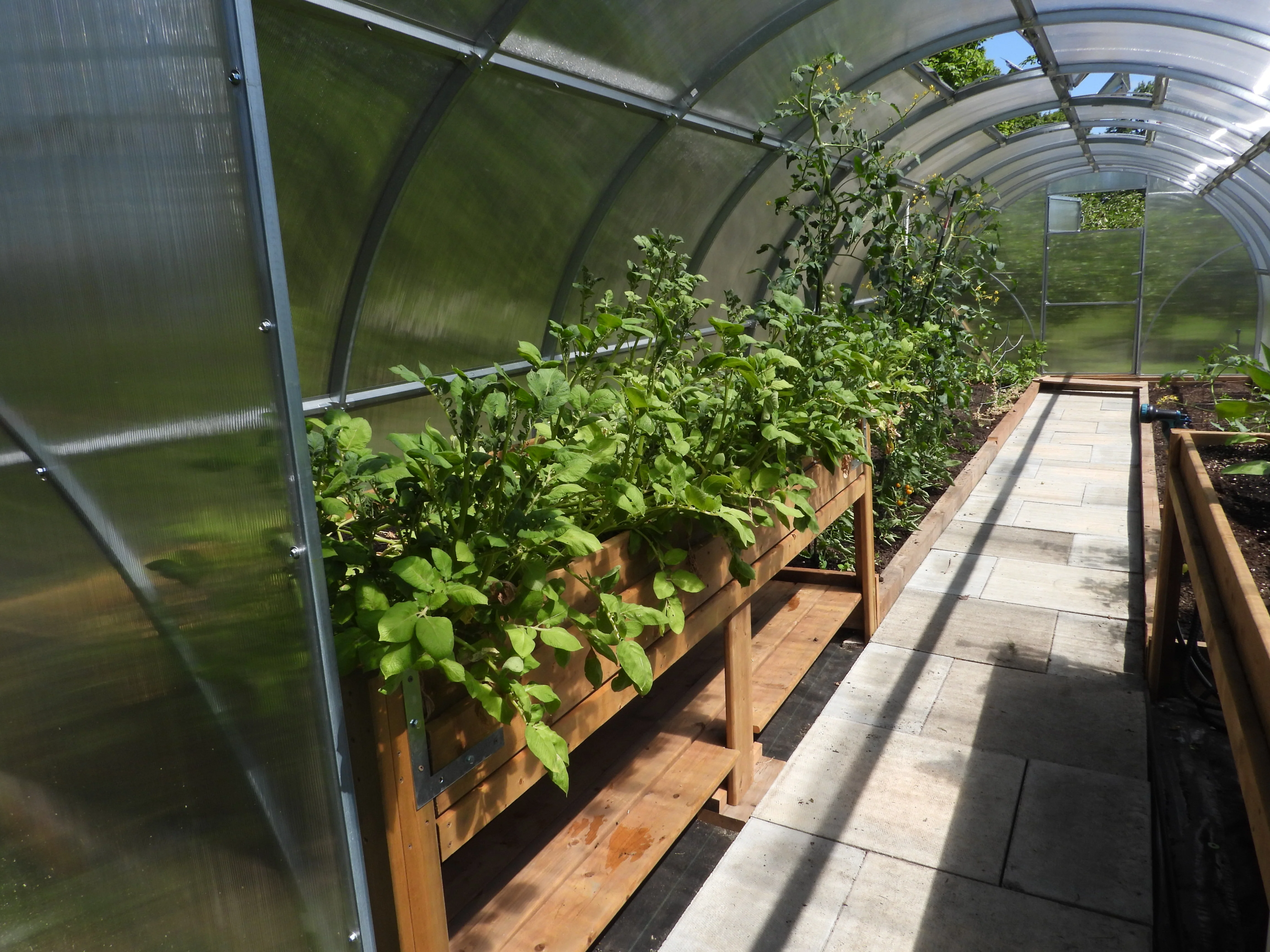 Sigma 32 (Gen II) - Image 6