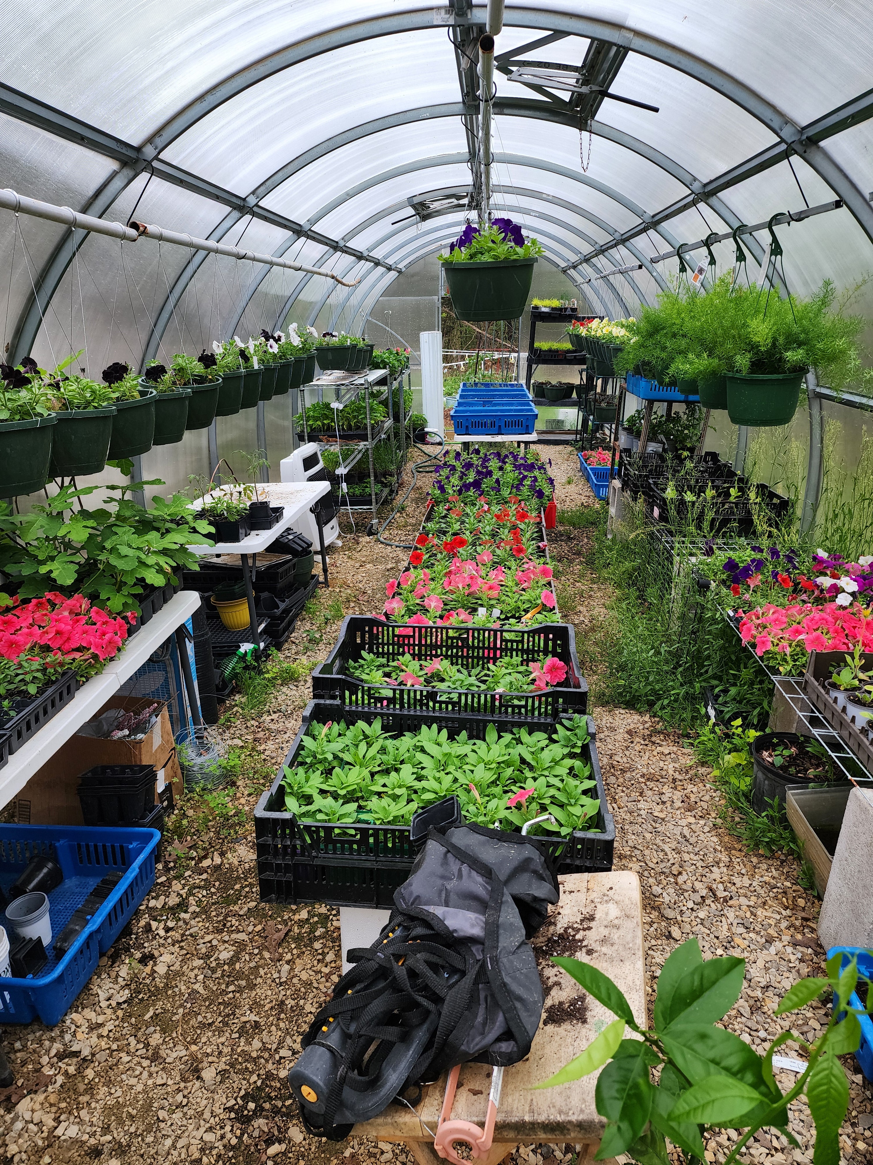 Sigma 32 (Gen II) - Image 7