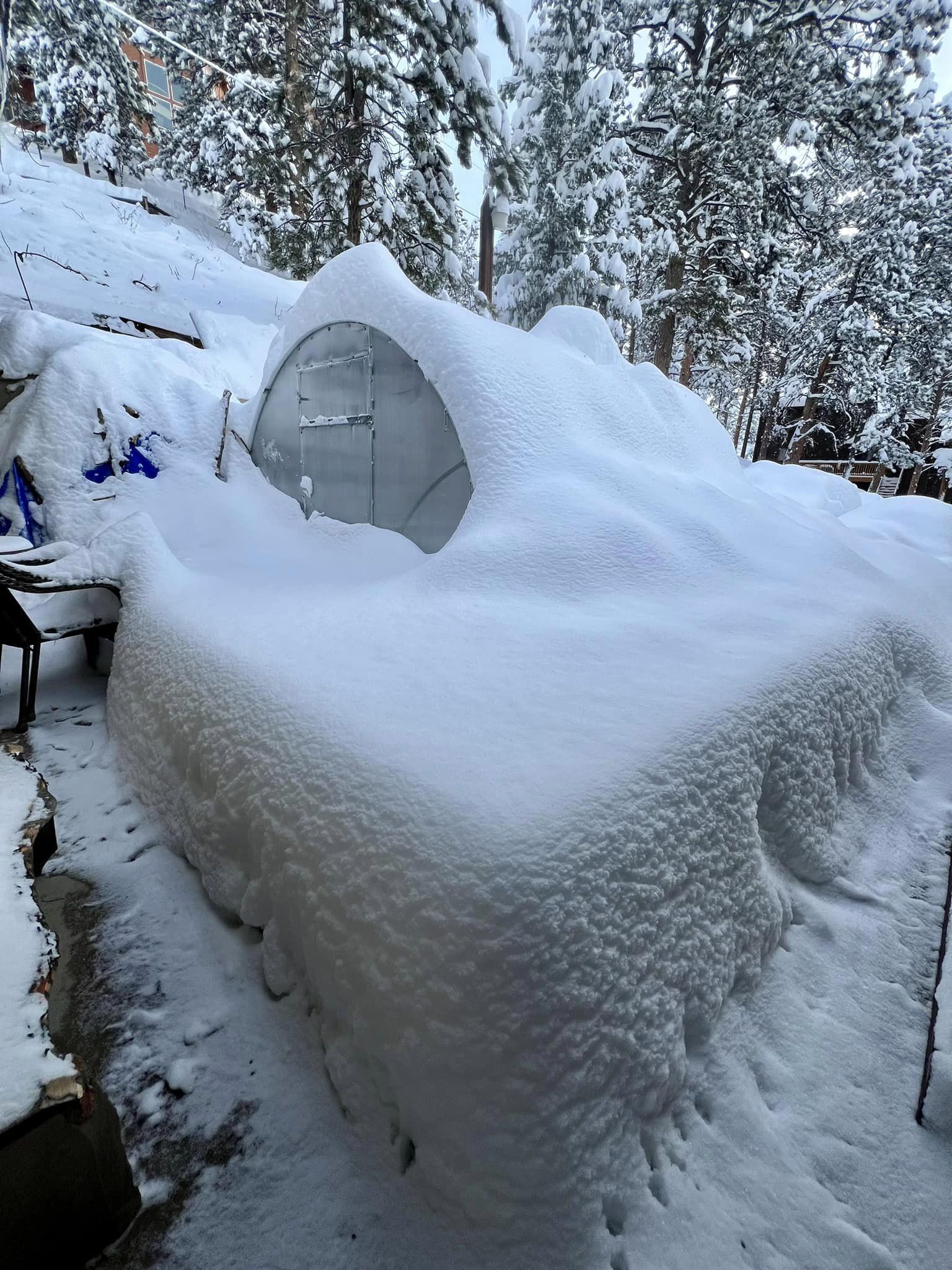 Sigma Urban (Gen II) - Image 14