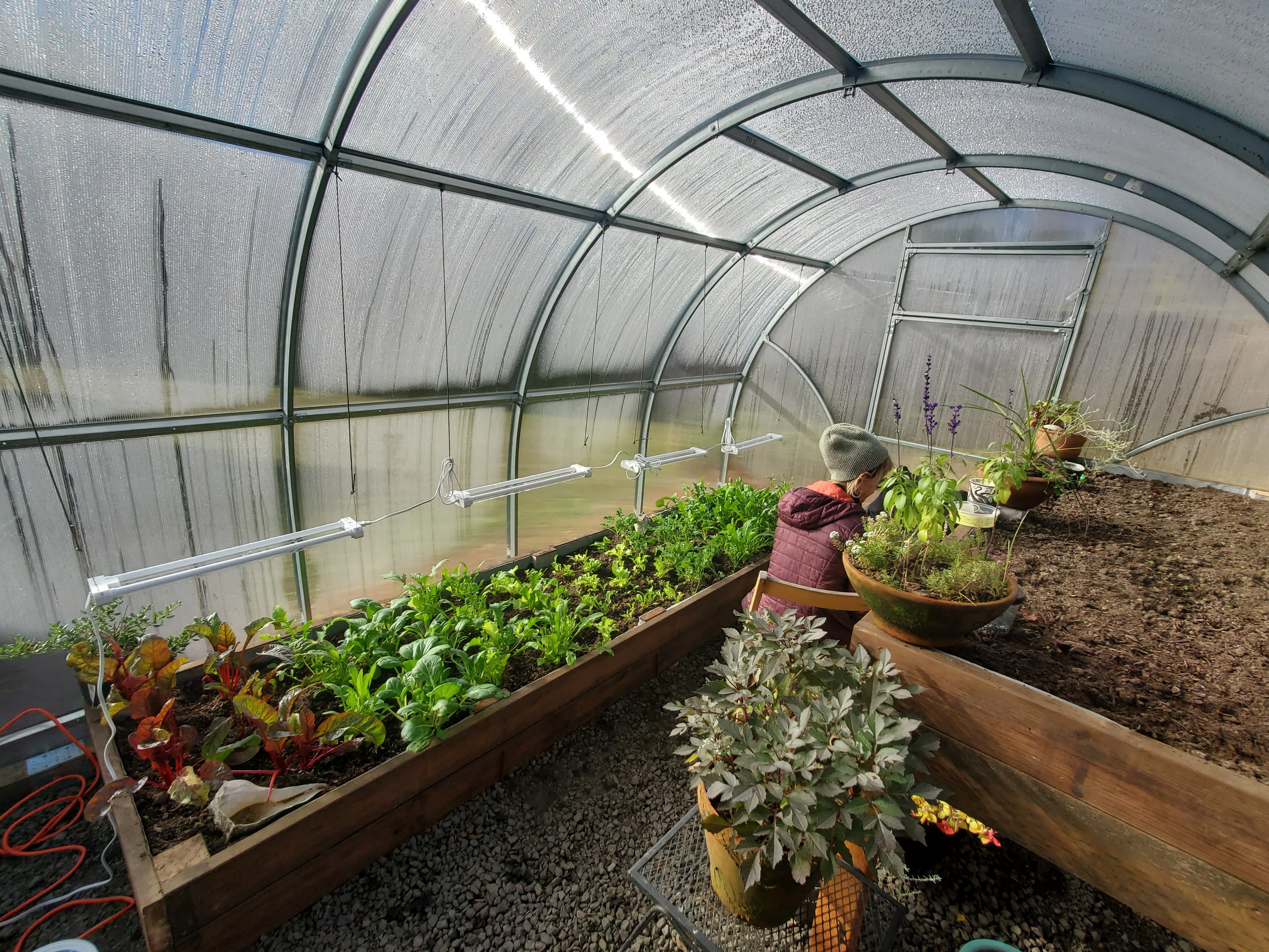 Sigma Urban (Gen II) - Image 6