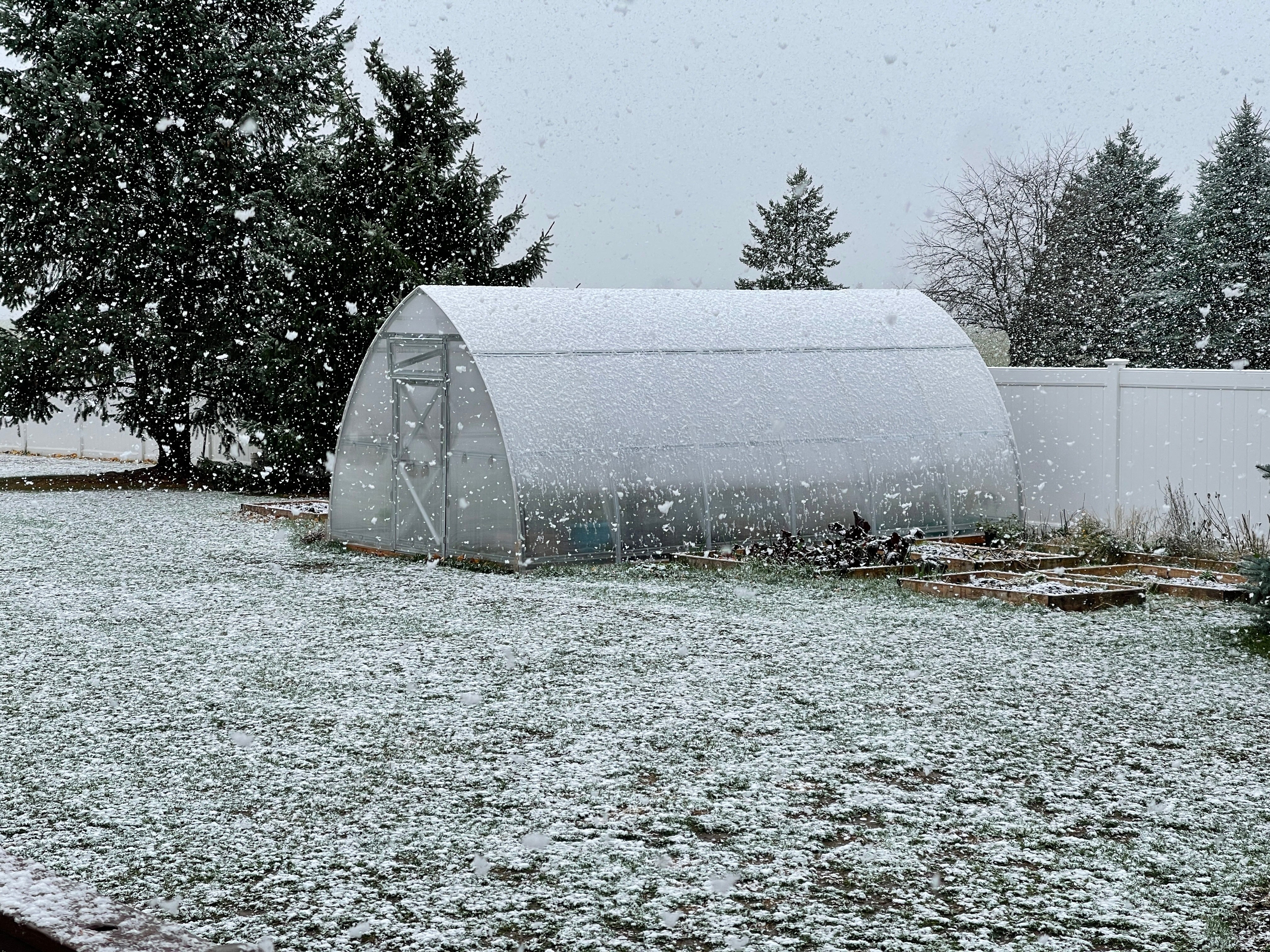 Sungrow 20 - Image 12