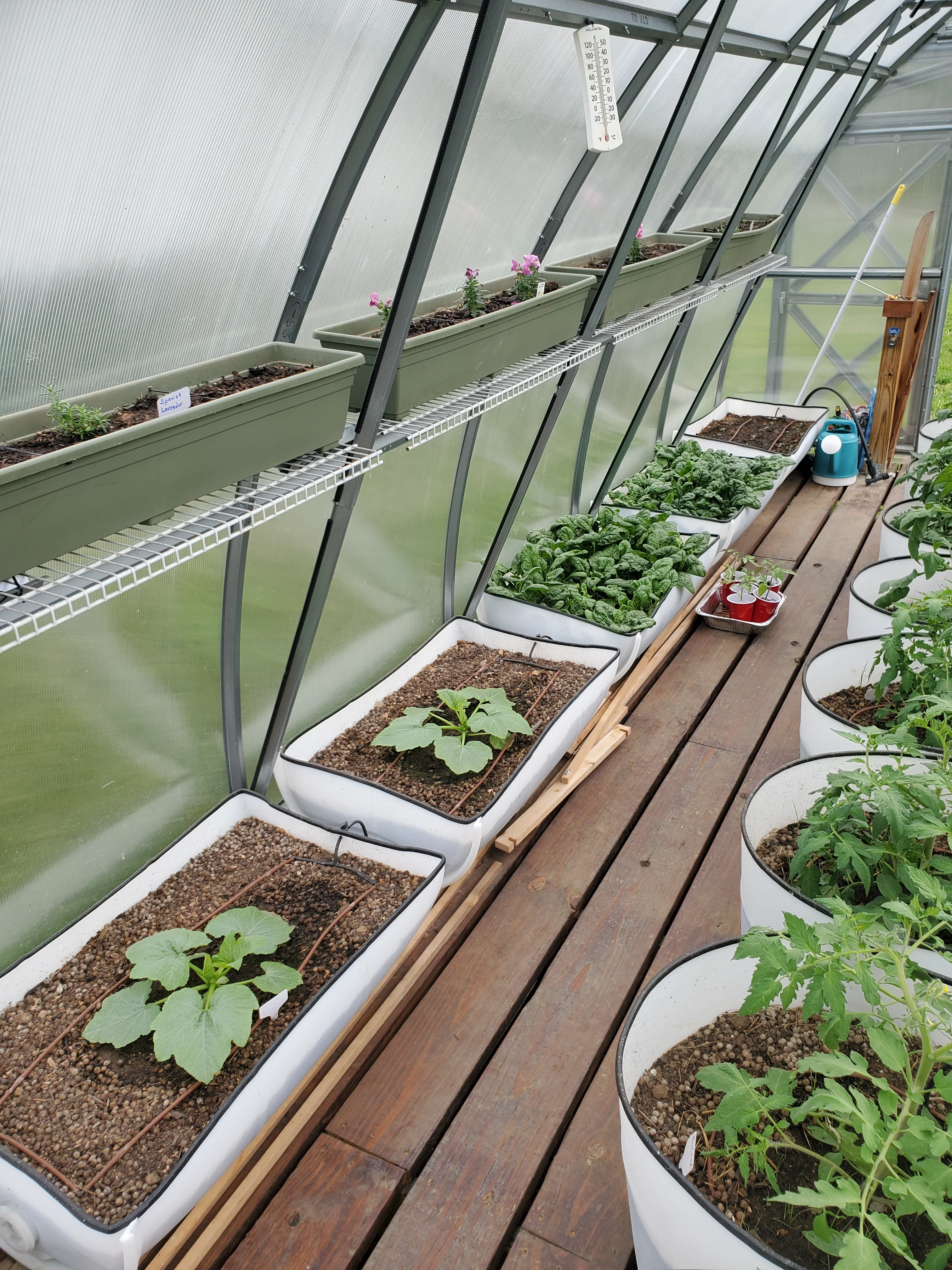 Sungrow 20 - Image 14