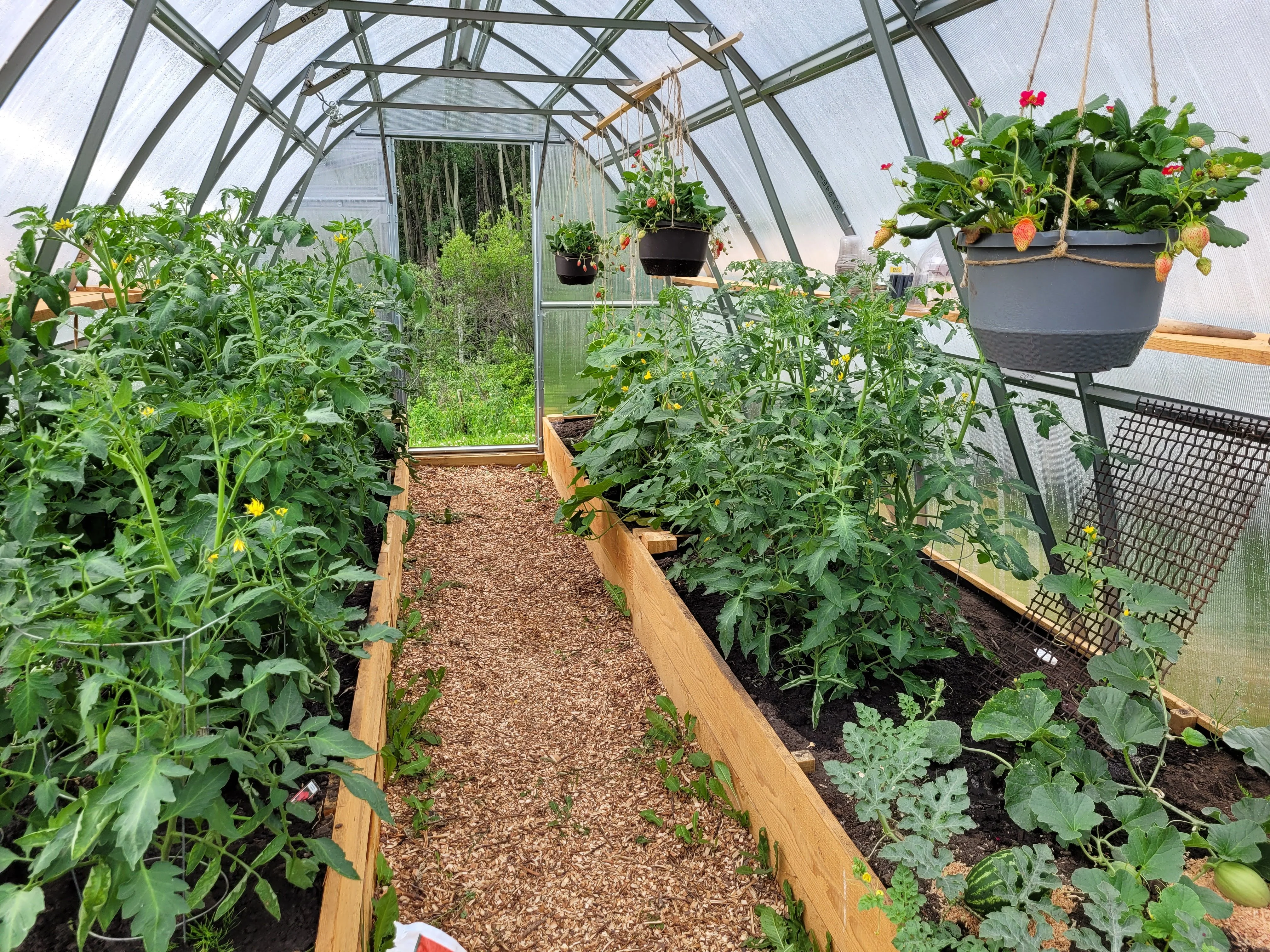 Sungrow 20 - Image 16