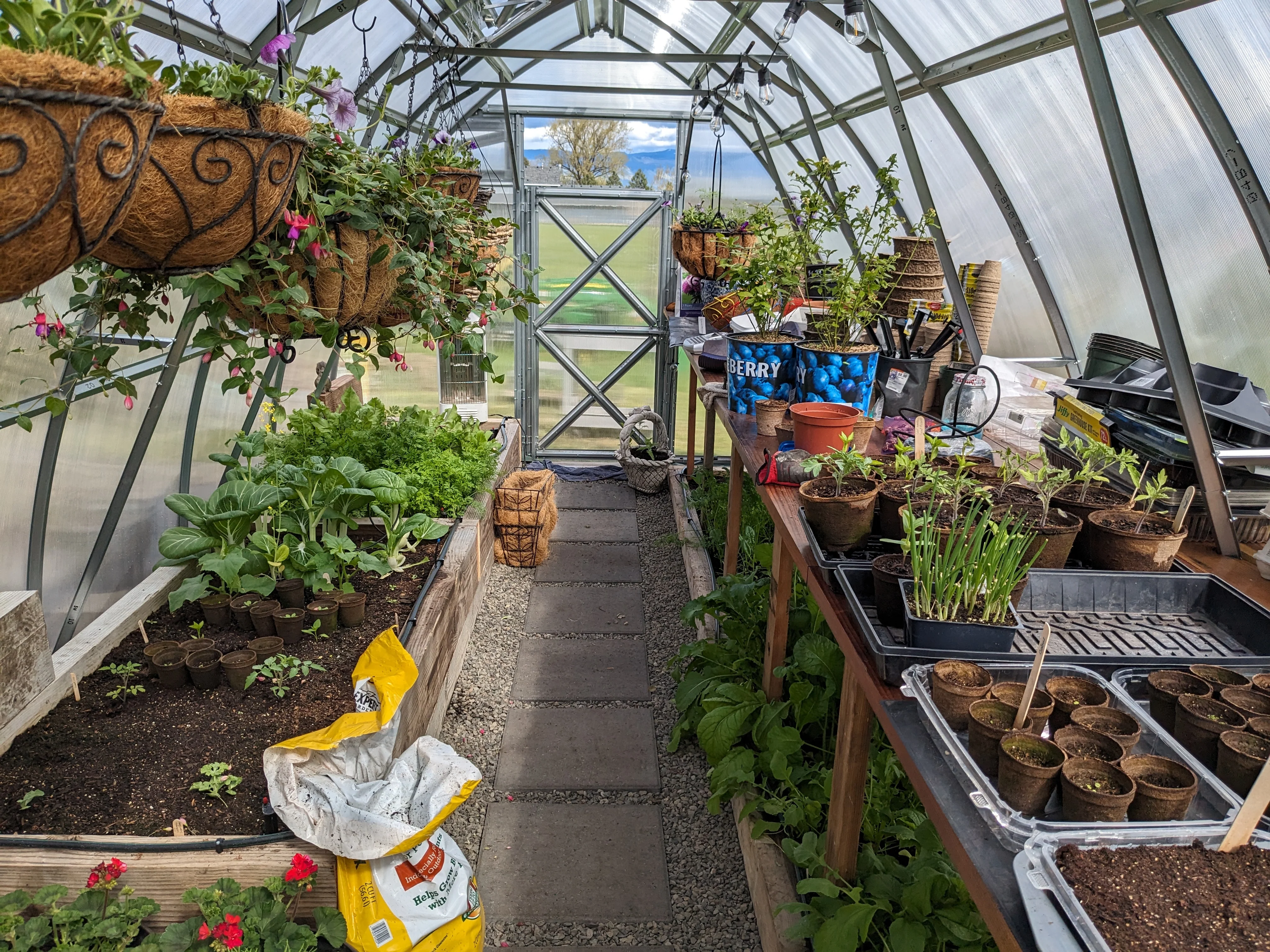 Sungrow 20 - Image 17