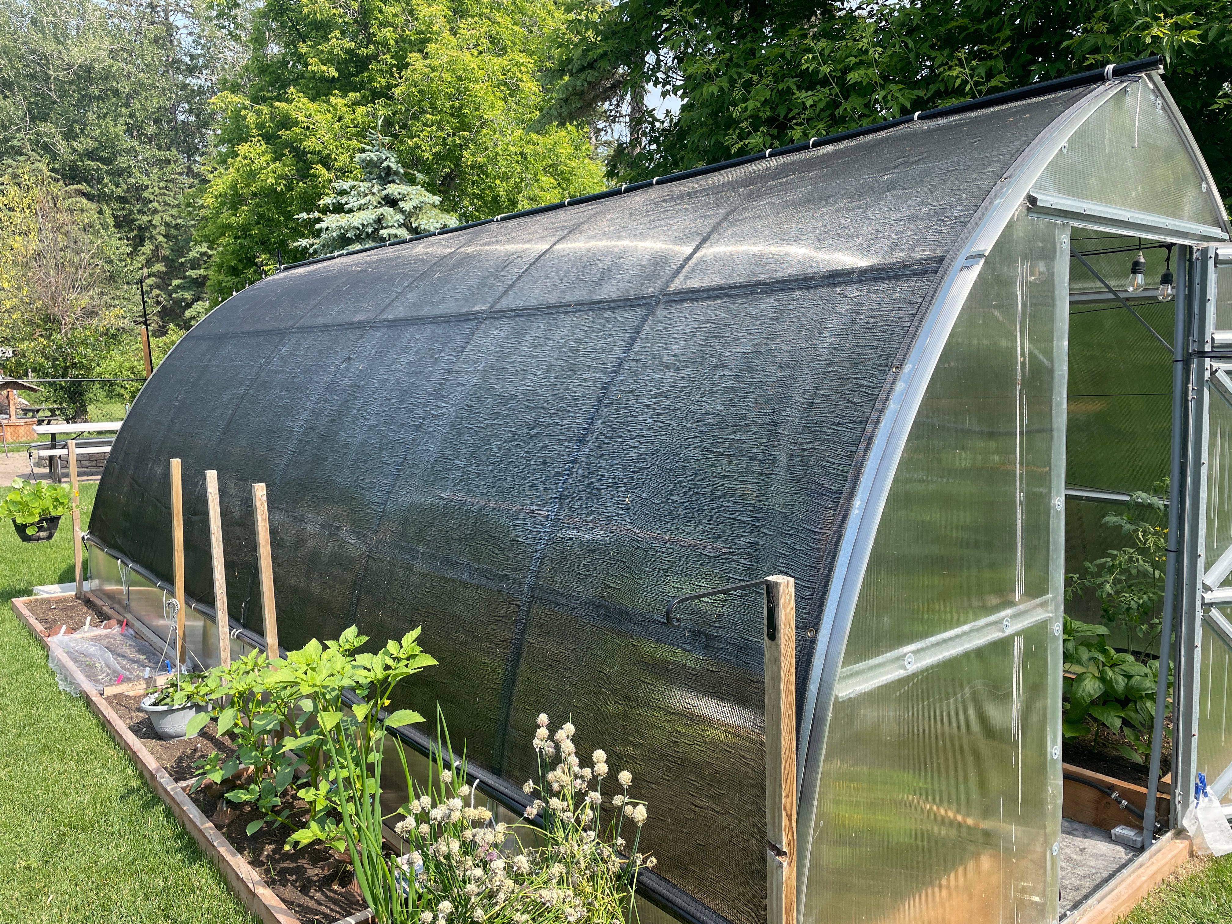 Sungrow 20 - Image 18