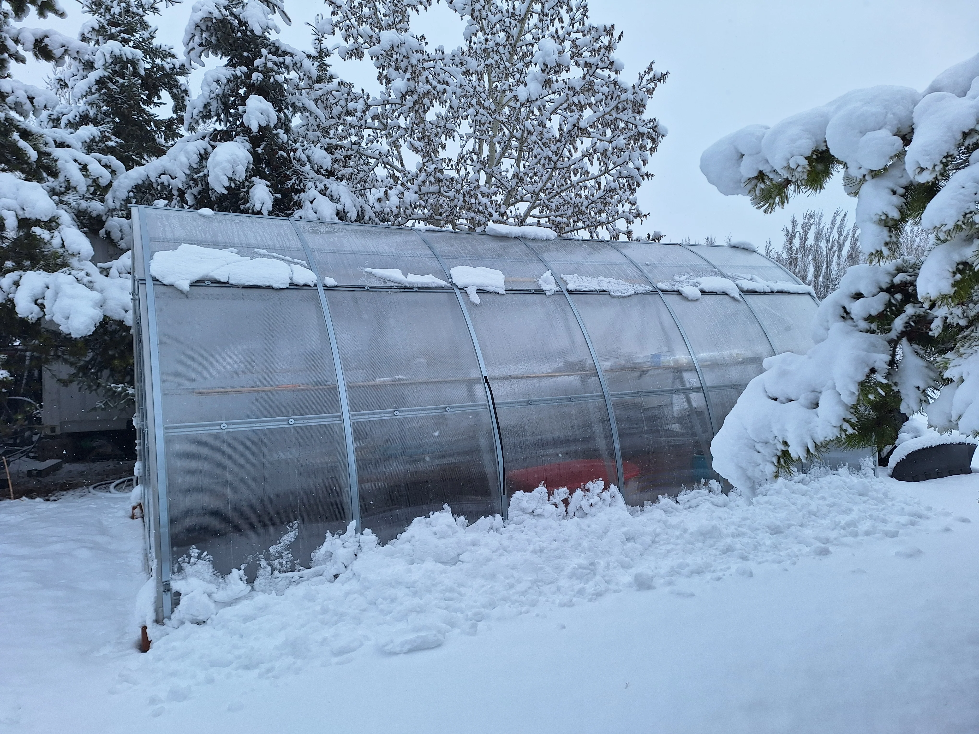 Sungrow 20 - Image 19