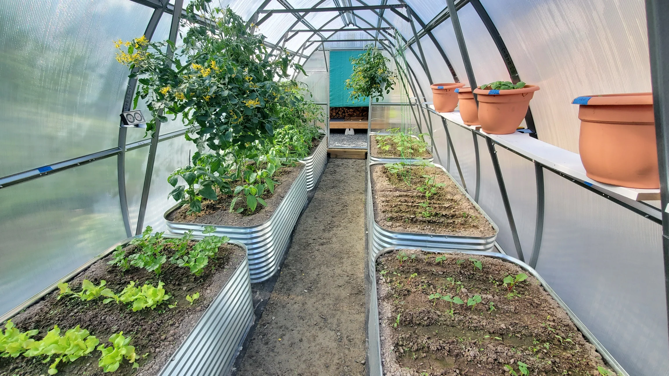 Sungrow 20 - Image 20