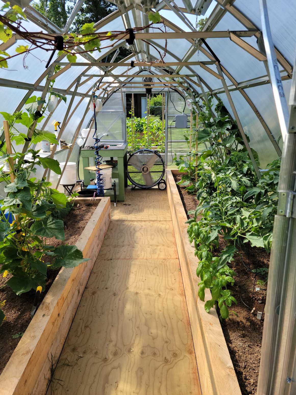 Sungrow 20 - Image 6