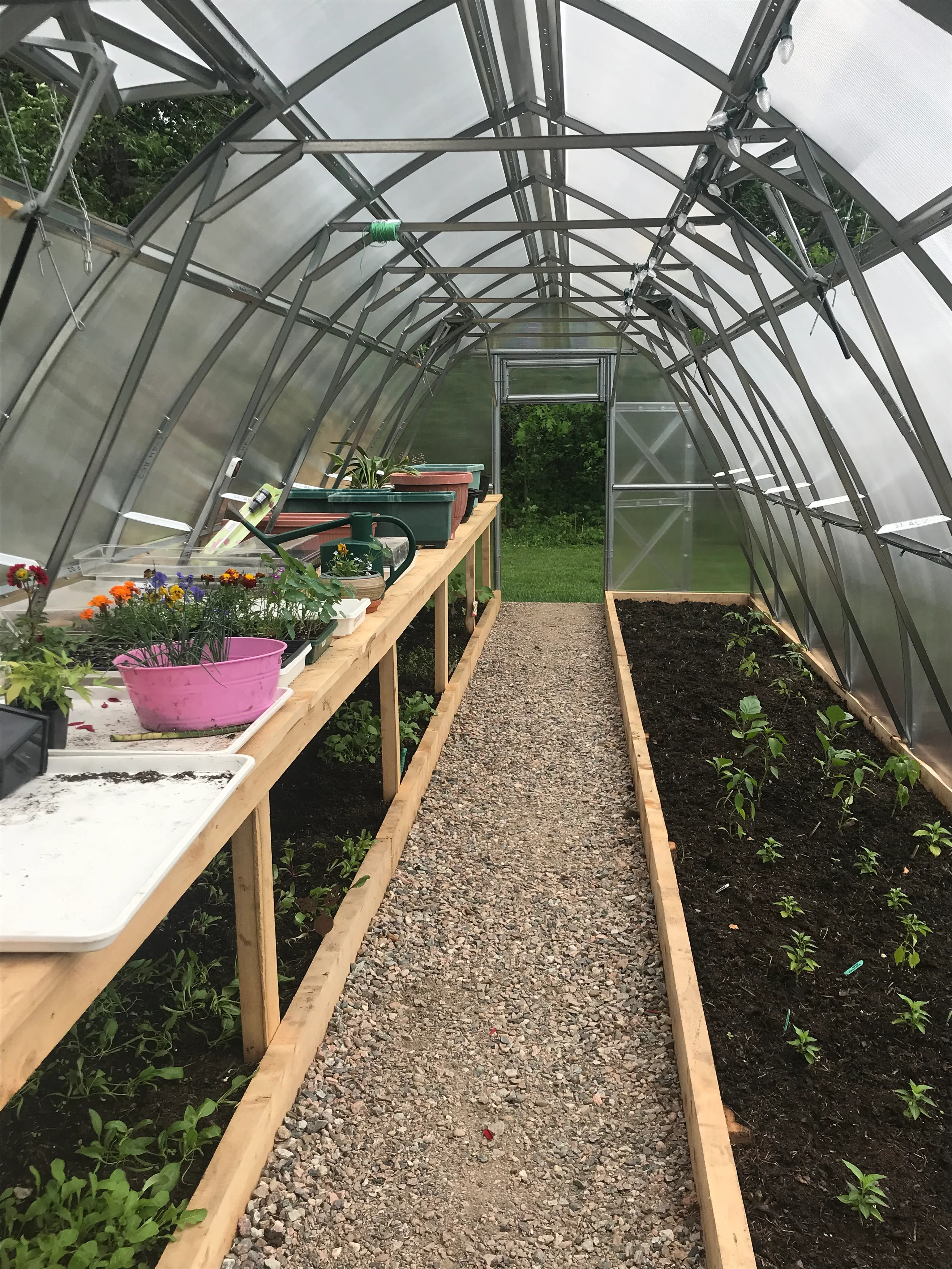 Sungrow 26 - Image 10