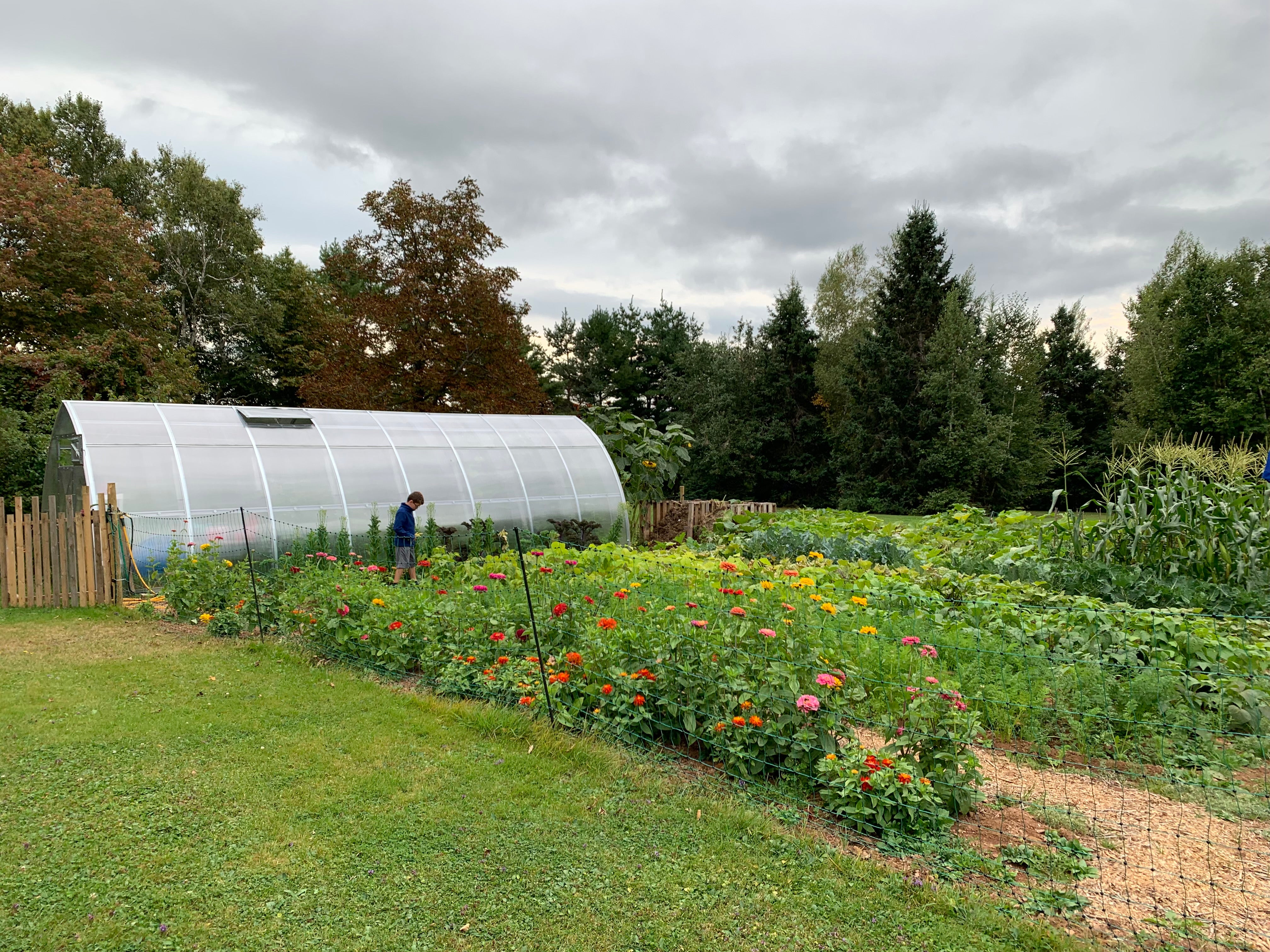 Sungrow 26 - Image 13