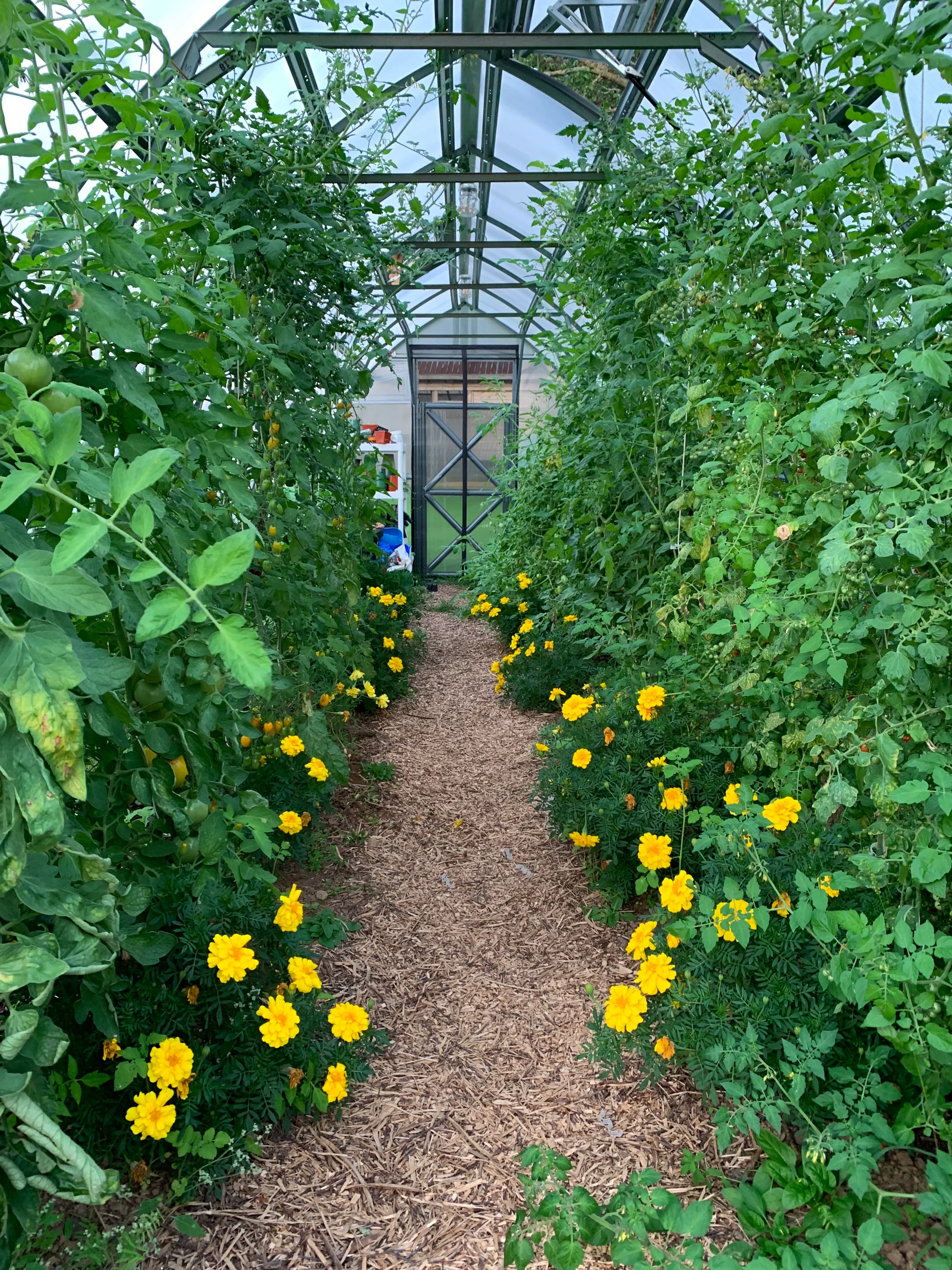 Sungrow 26 - Image 14