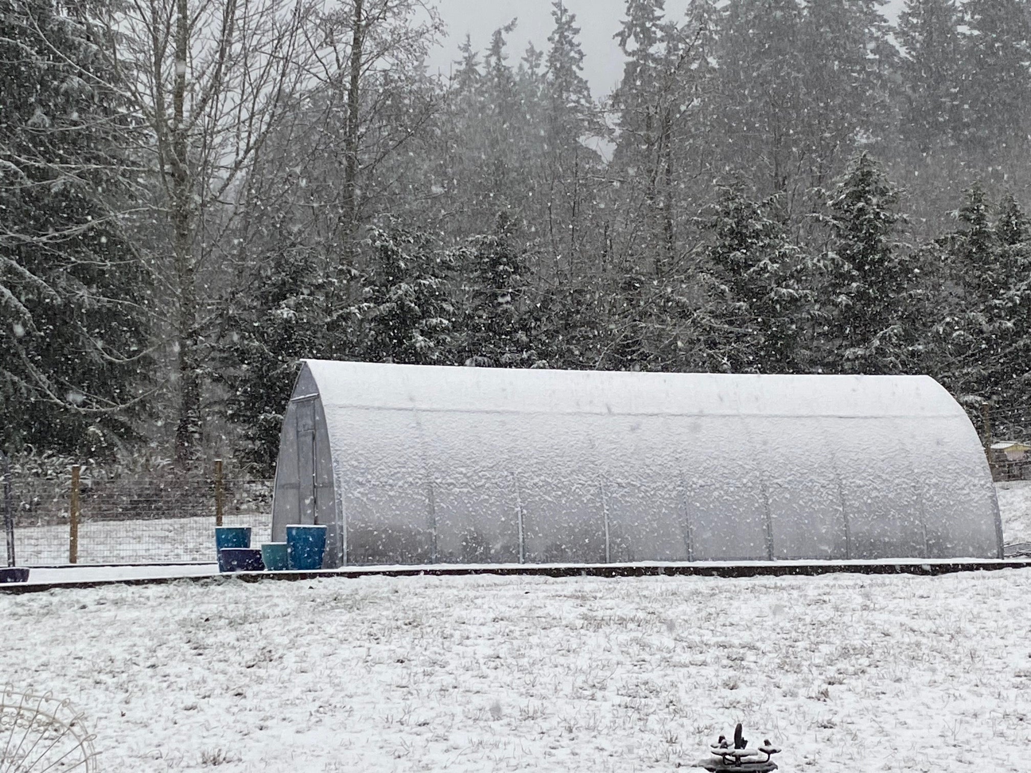 Sungrow 26 - Image 15