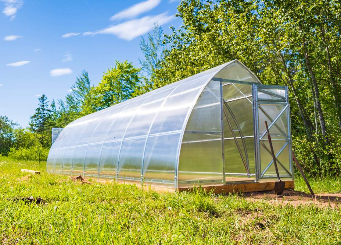 Sungrow 26 - Image 3