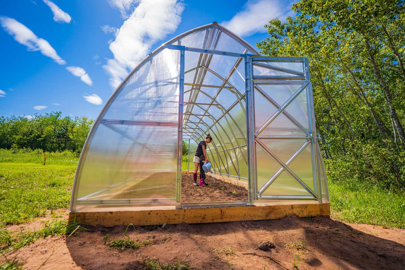 Sungrow 26 - Image 4