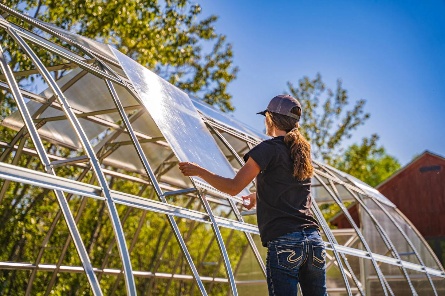 Sungrow 26 - Image 6