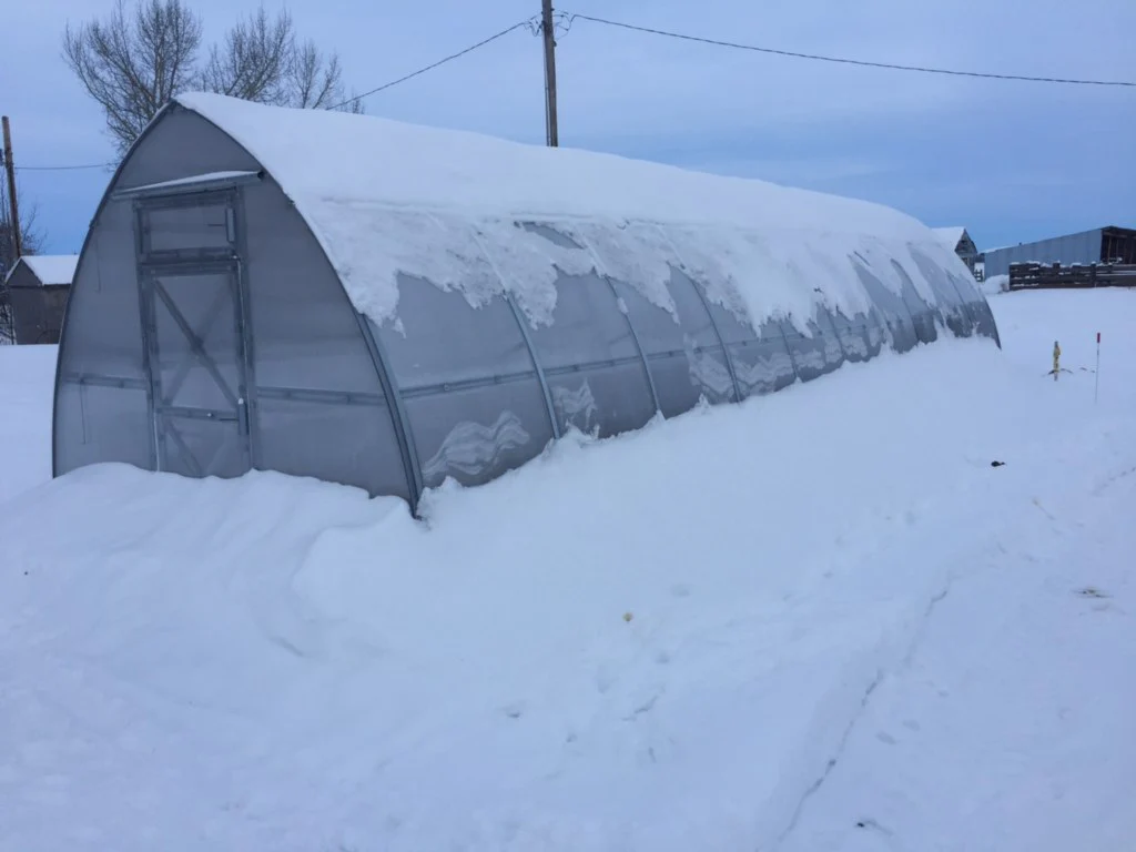 Sungrow 32 - Image 15