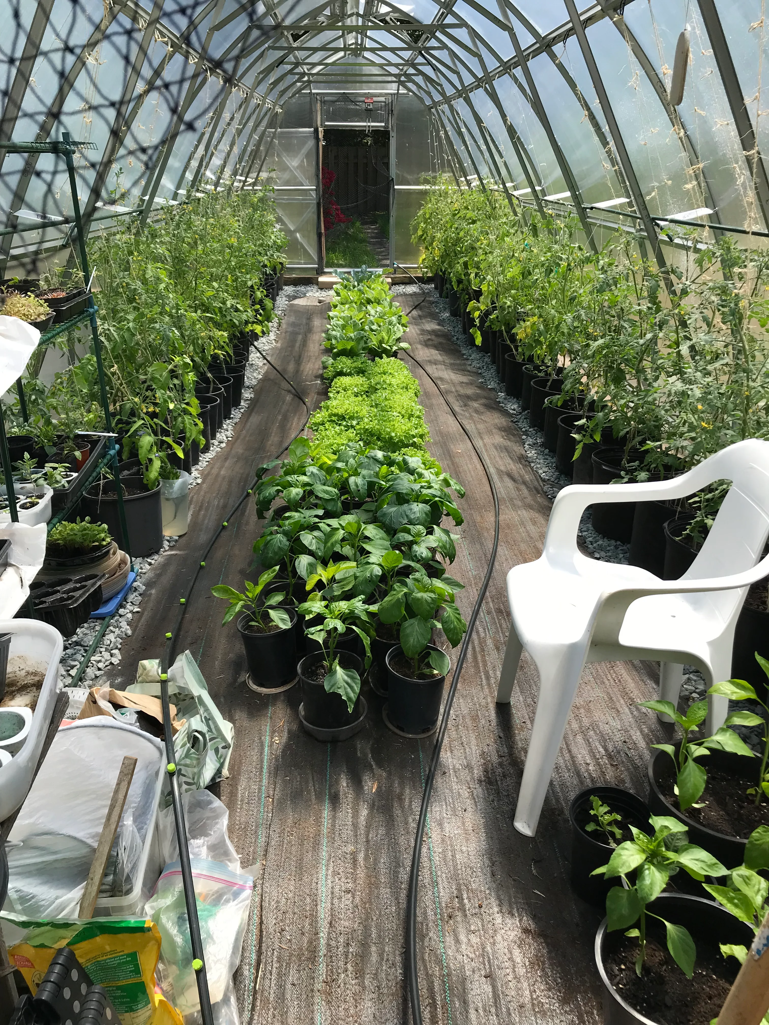 Sungrow 32 - Image 7