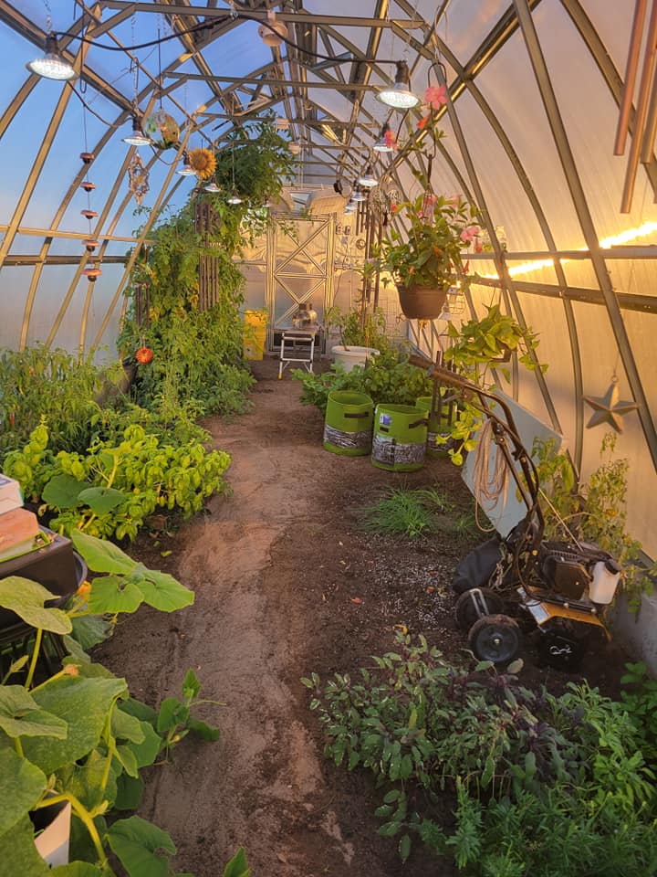 Sungrow 32 - Image 8